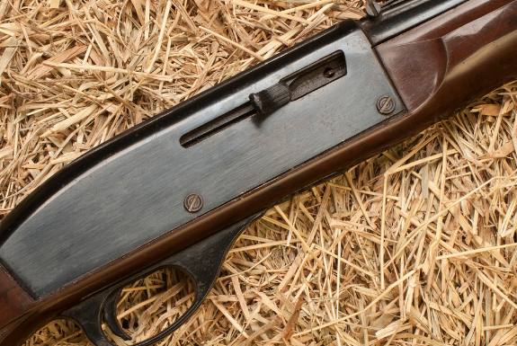 Semi Auto rifle Pal course