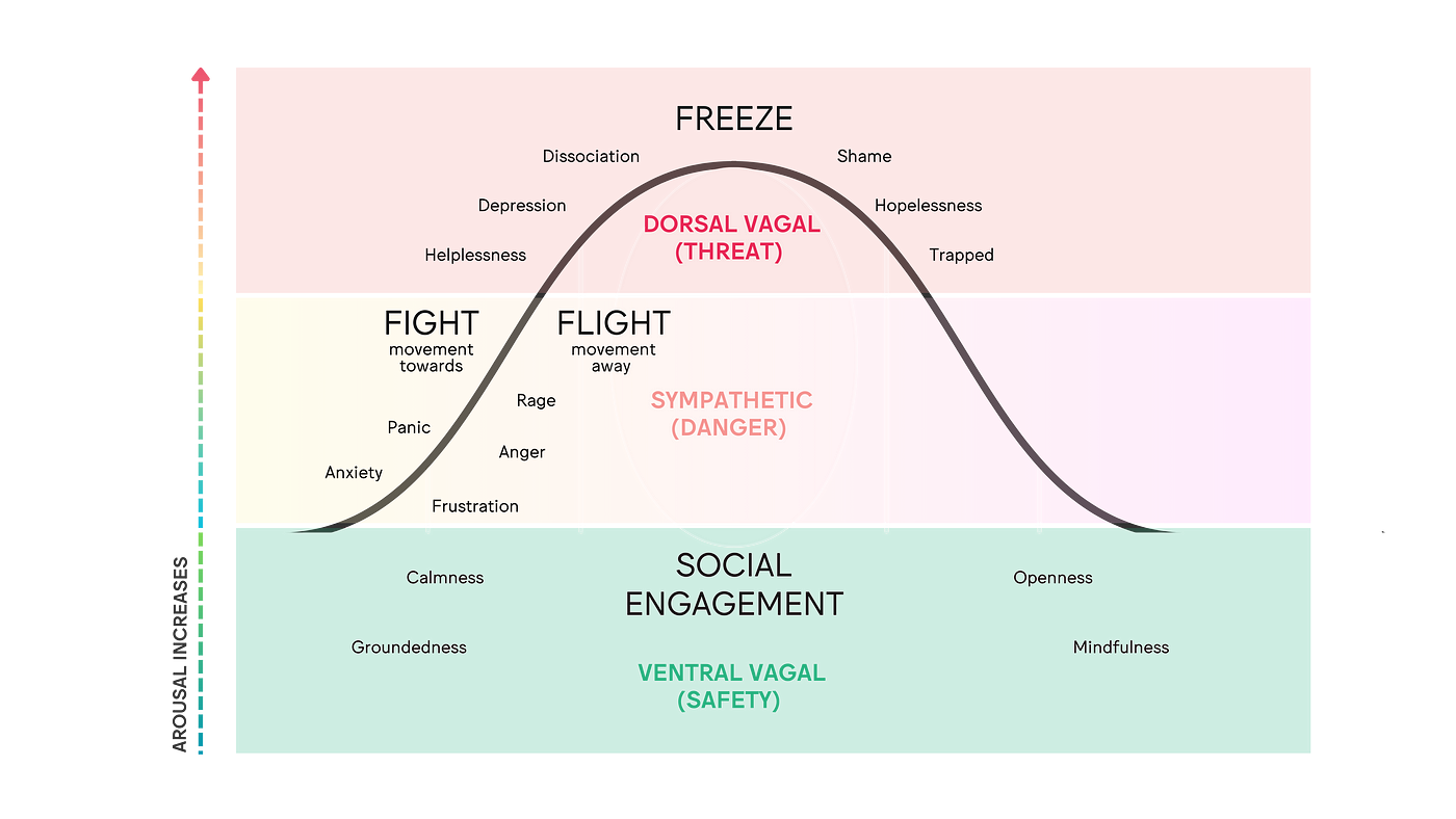 Polyvagal Theory