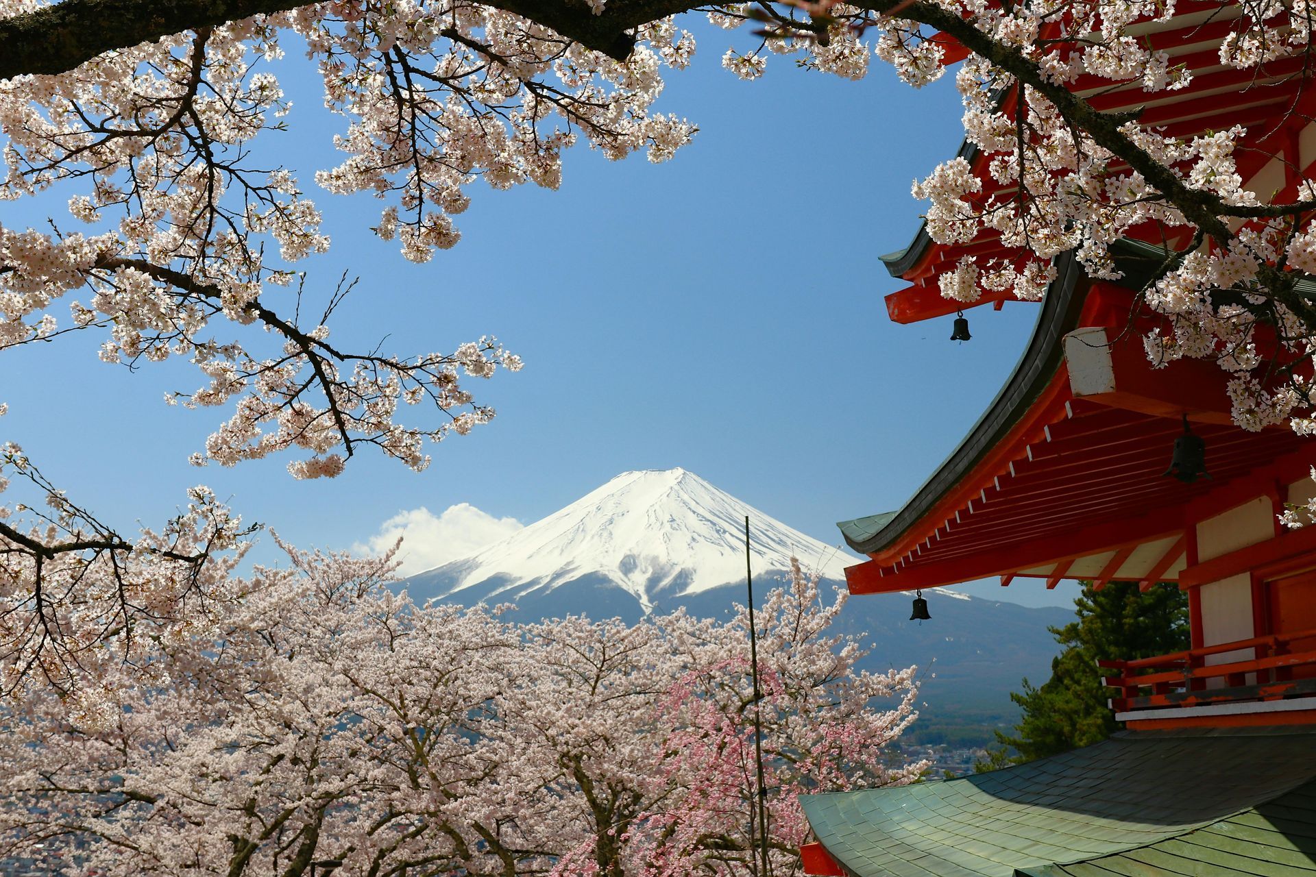 Cherry blossoms frame Mt. Fuji beside a red temple roof under a clear blue sky.