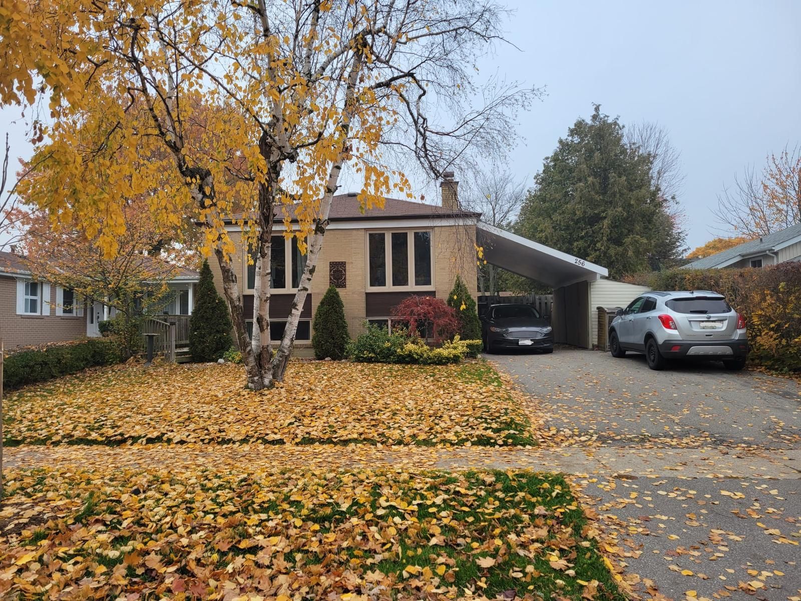 Exterior of 256 Sylvan Ave Lower suite in Guildwood, listed by Laura Cooper Realtor