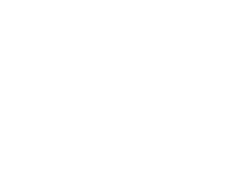 The Lark White Bird Icon
