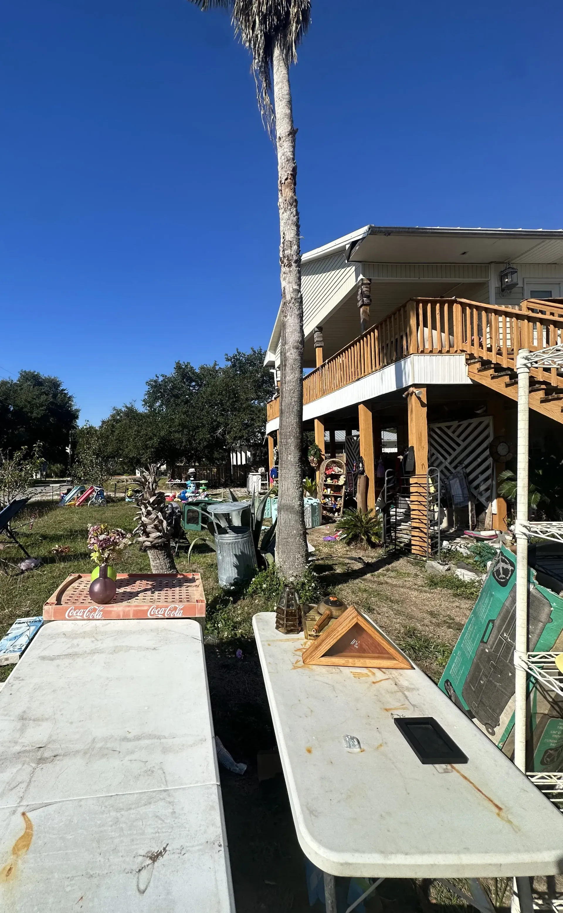 Backyard with concrete path, planter boxes, palm tree, and wooden porch on a sunny day