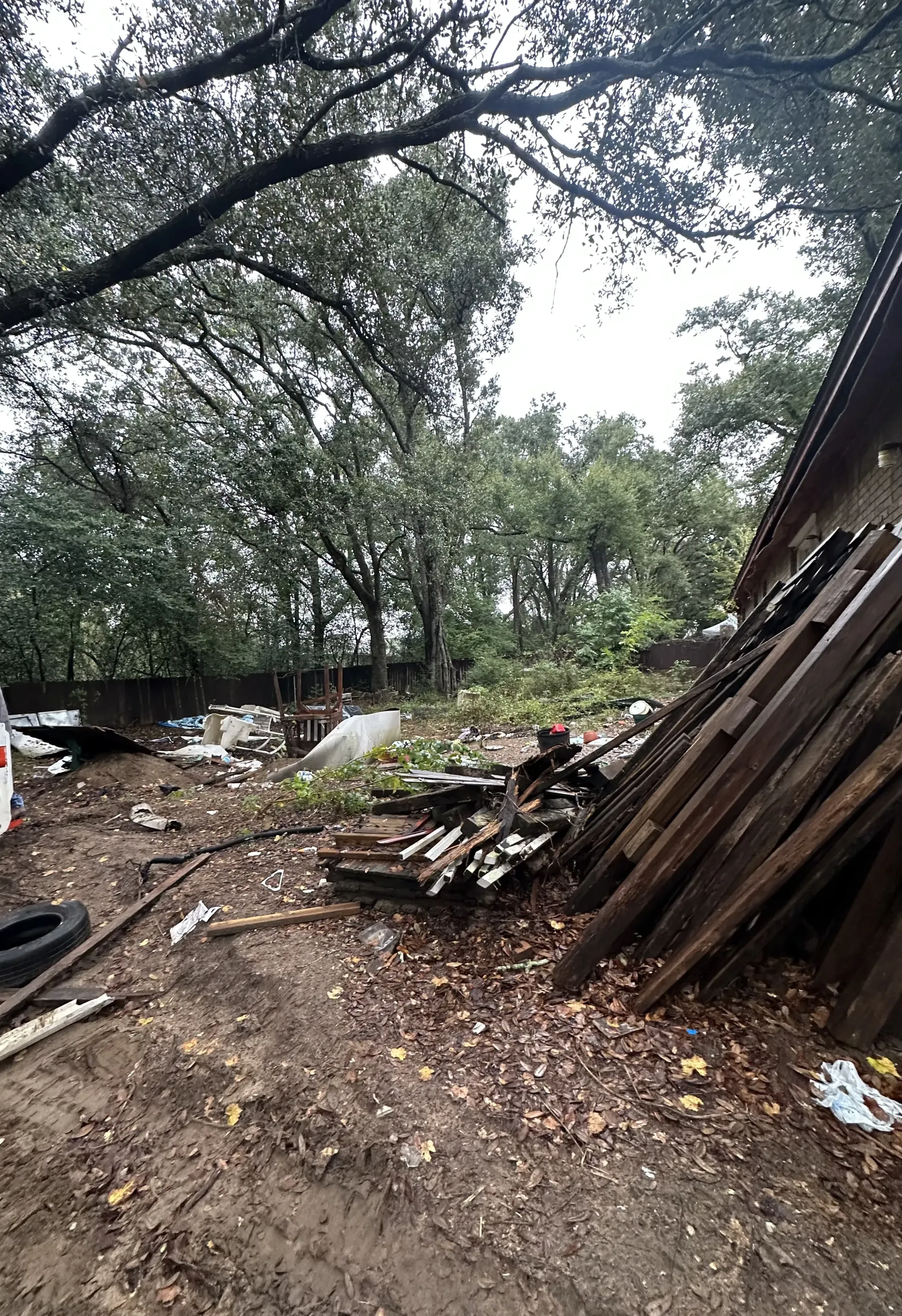 A muddy wooded area with stacked wooden planks leaning against a structure and scattered debris on the ground.