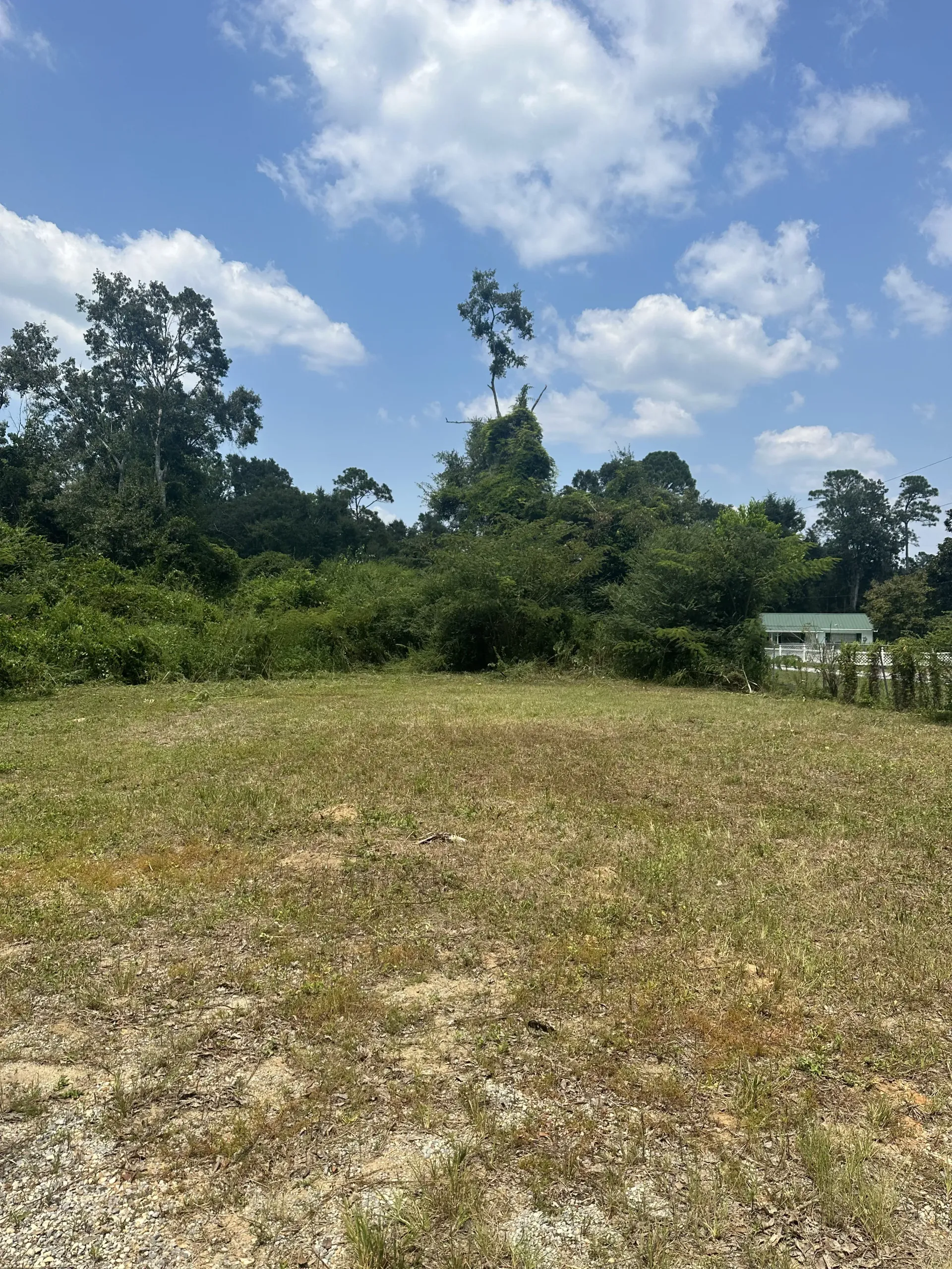 Open grassy field under a blue sky with clouds, bordered by dense green trees and shrubs.