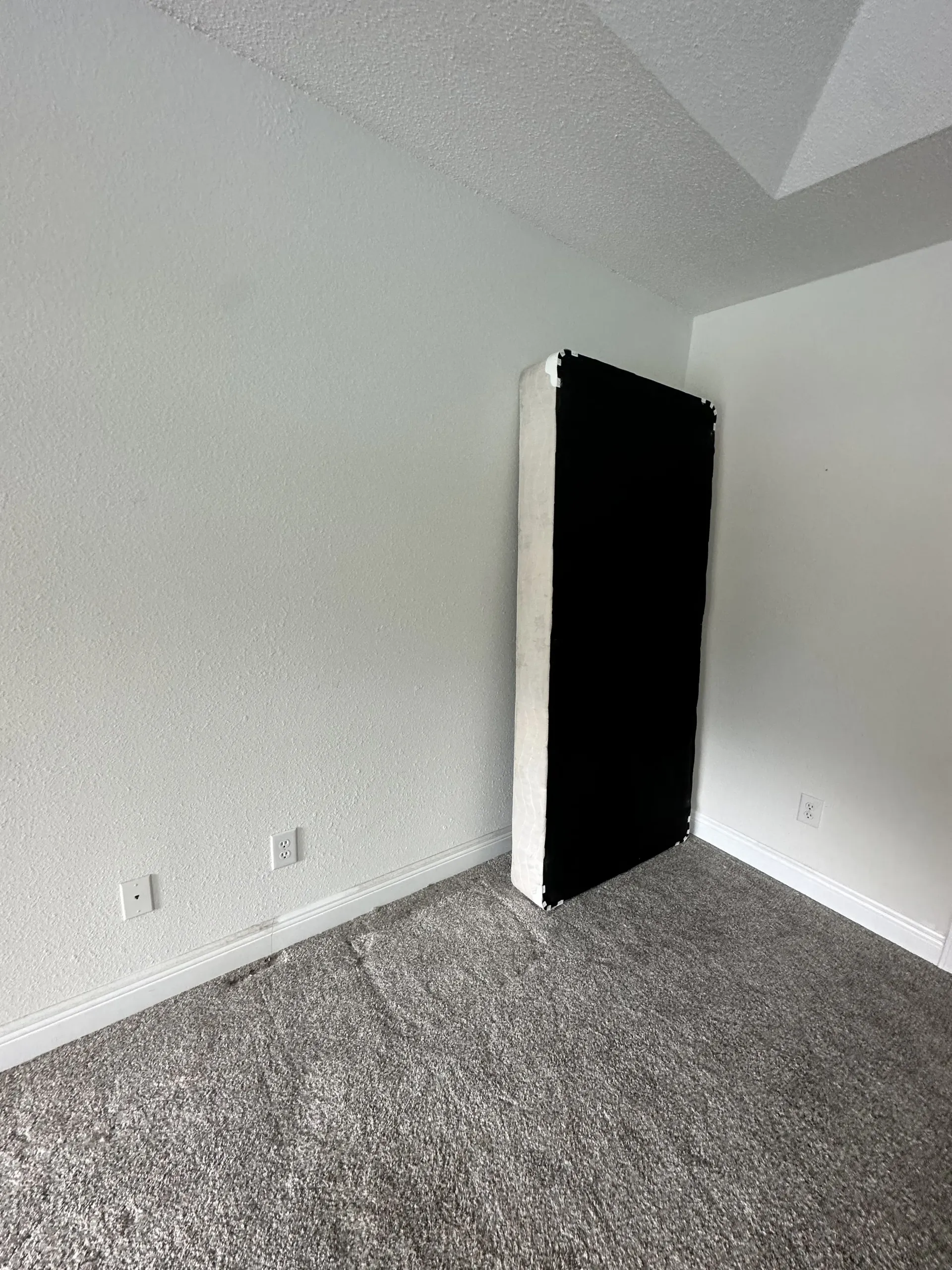 Empty gray carpeted room with white walls and a black door leaning against the corner