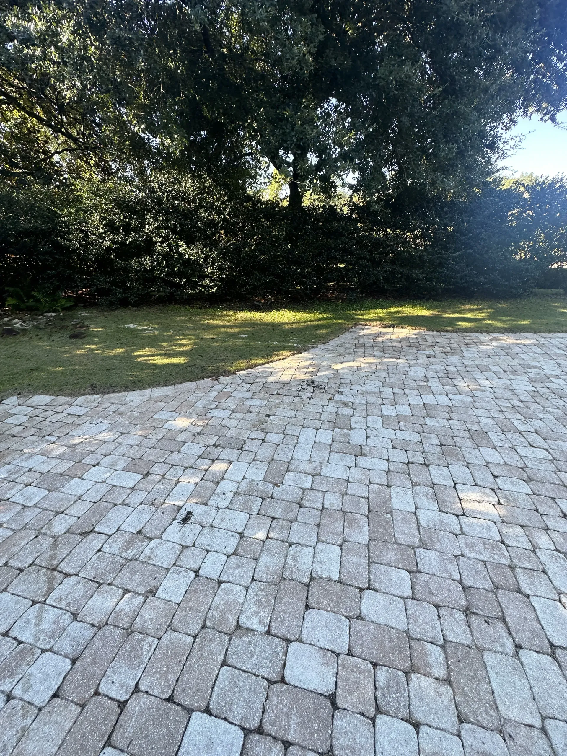 Brick patio beside a grassy yard, bordered by dense trees in bright sunlight
