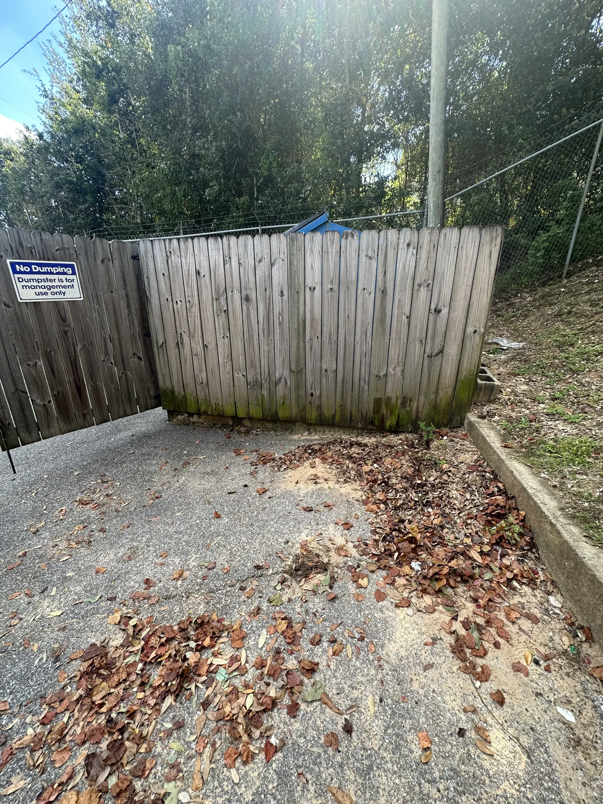 Leaf-covered gravel yard with a weathered wooden fence and retaining wall in bright sunlight