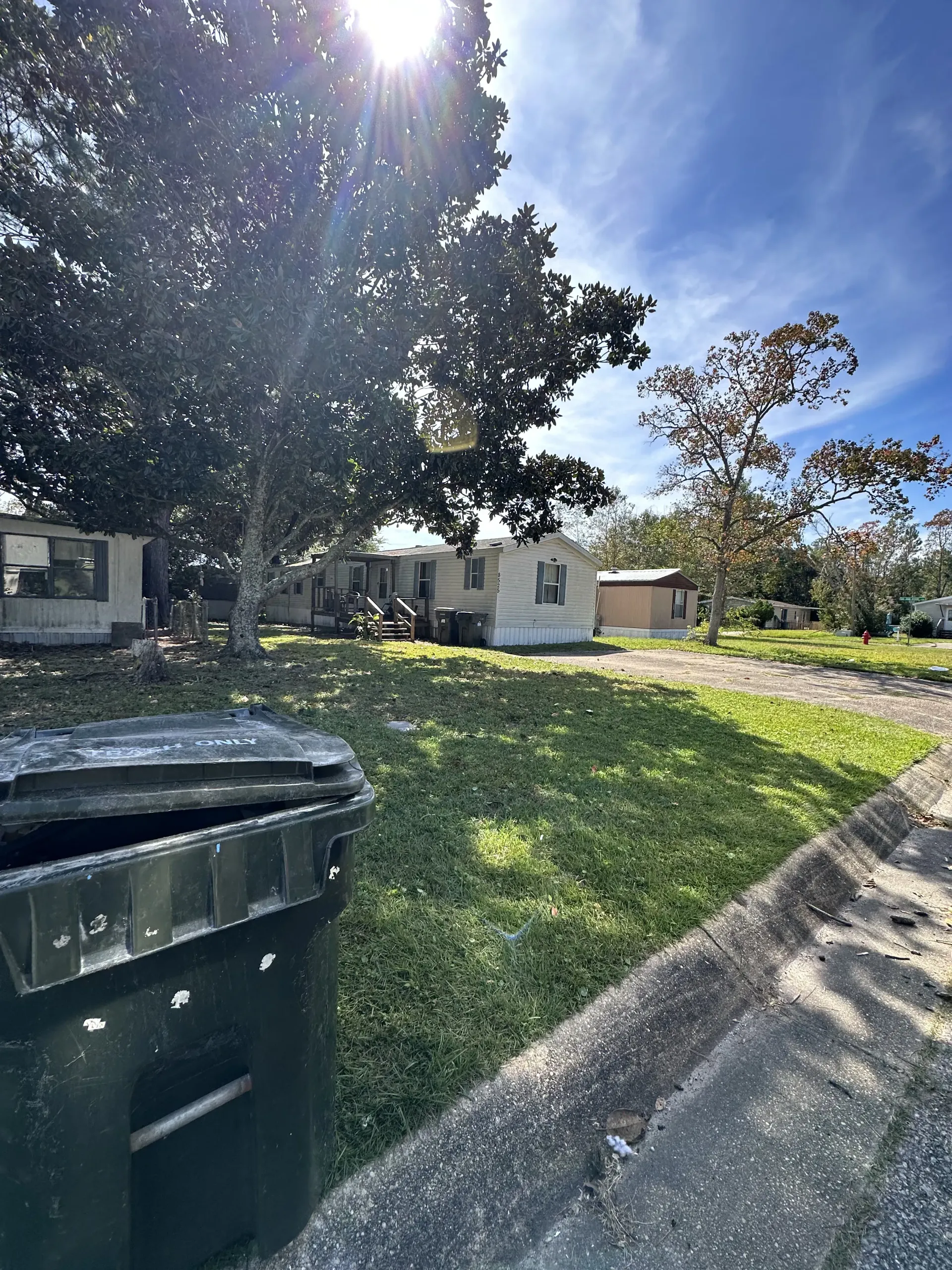 Sunny suburban street with trash bin in foreground, grassy yard, trees, and small buildings in background