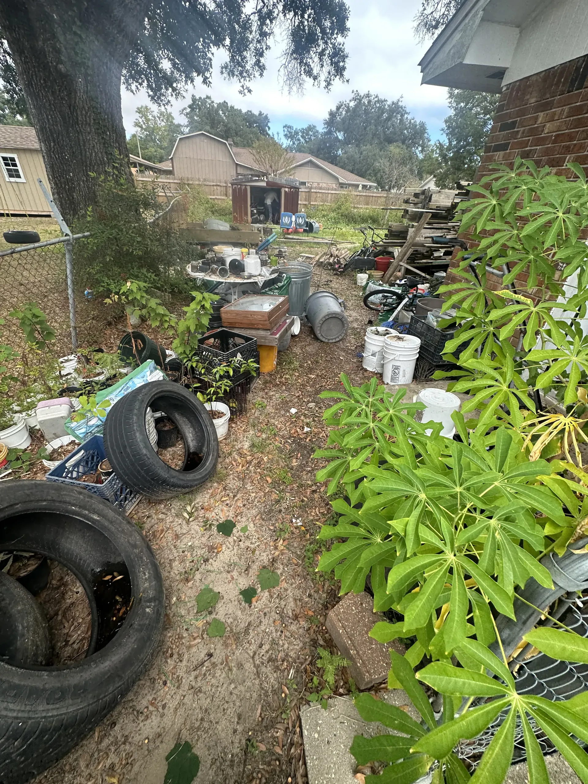 Cluttered backyard with stacked tires, debris, and overgrown plants beside a house under cloudy skies