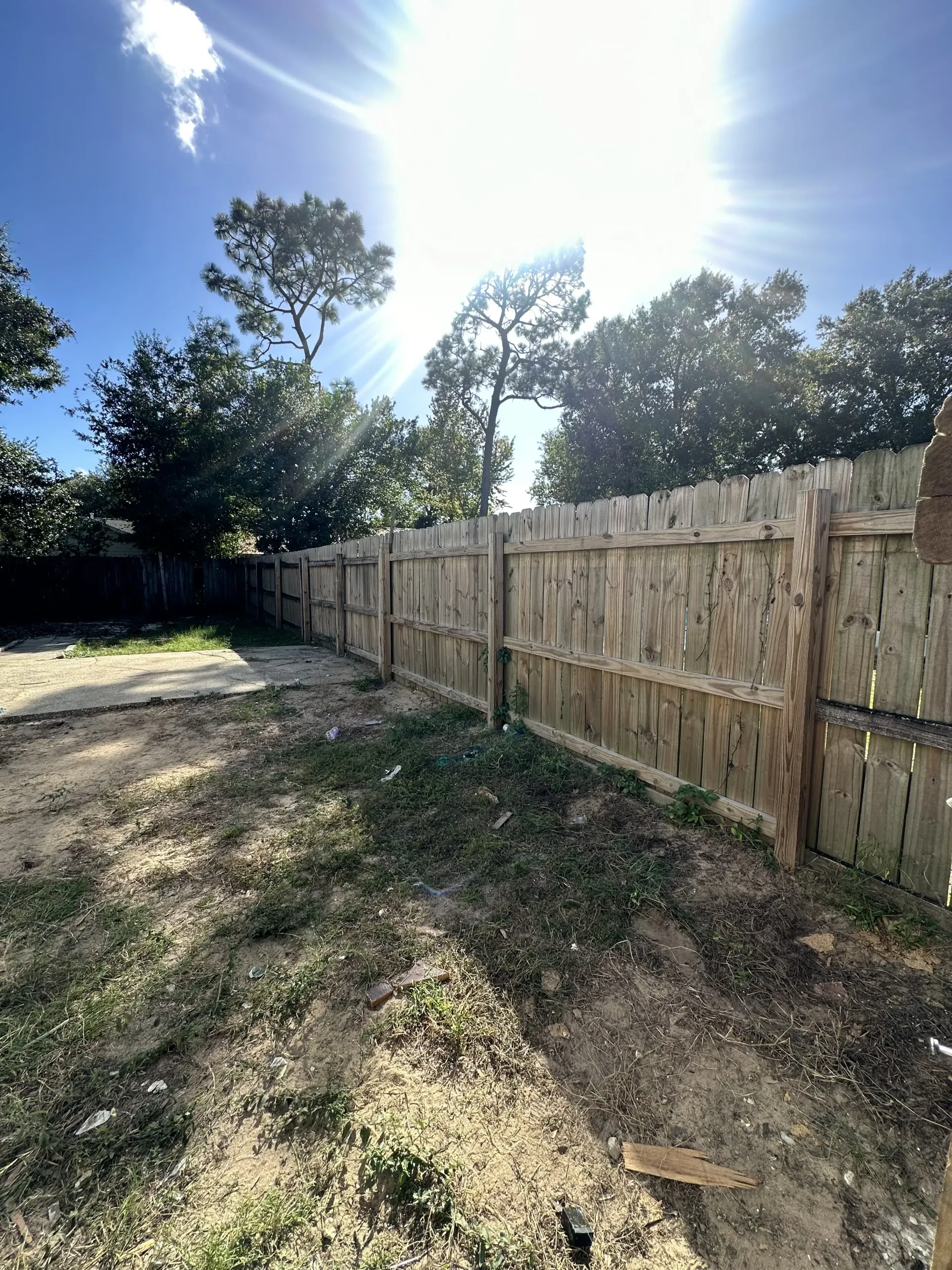 Sunny backyard with a wooden privacy fence, dirt ground, and trees under a bright sky