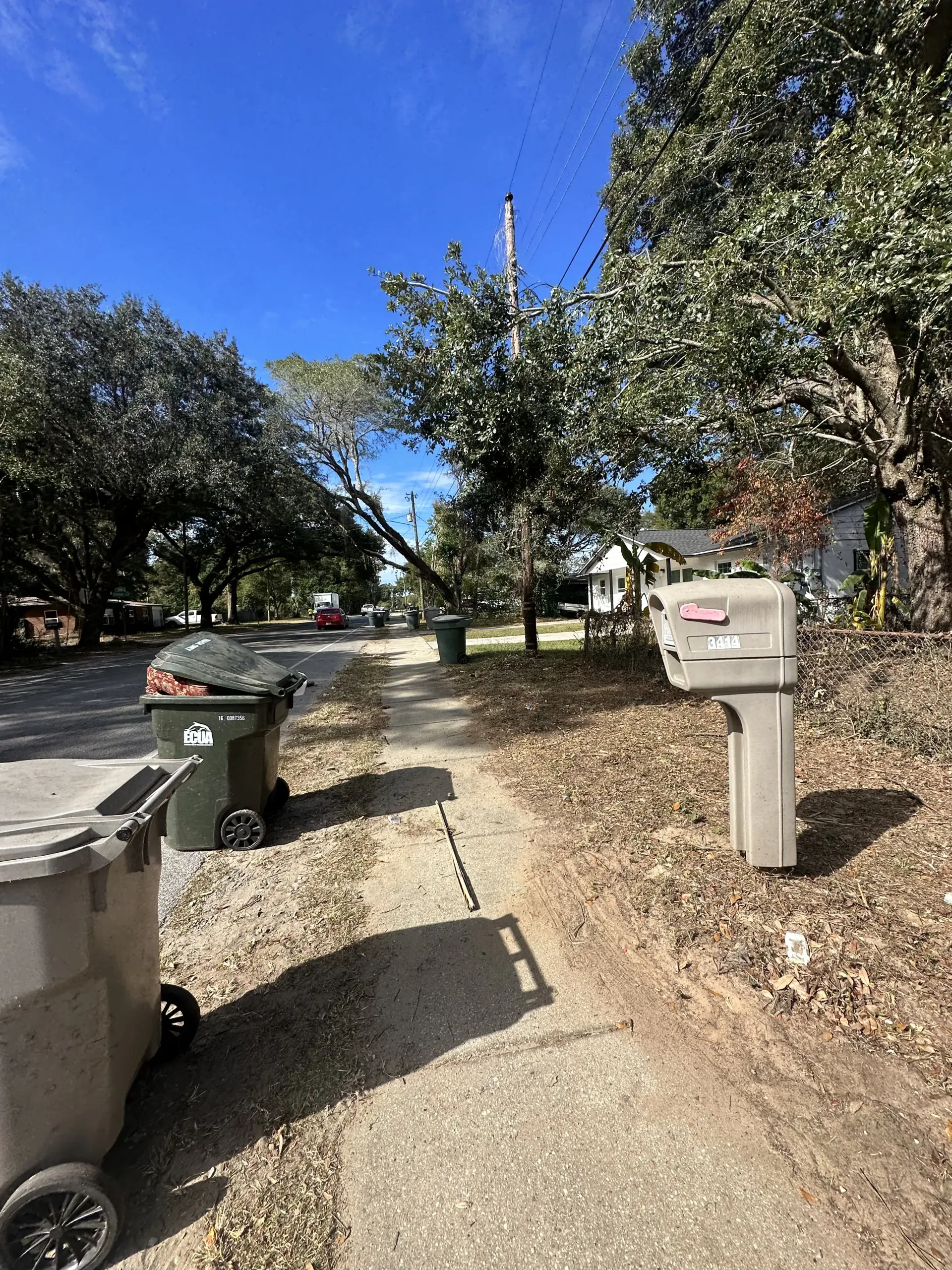Driveway lined with trash bins and mailboxes under trees on a sunny day