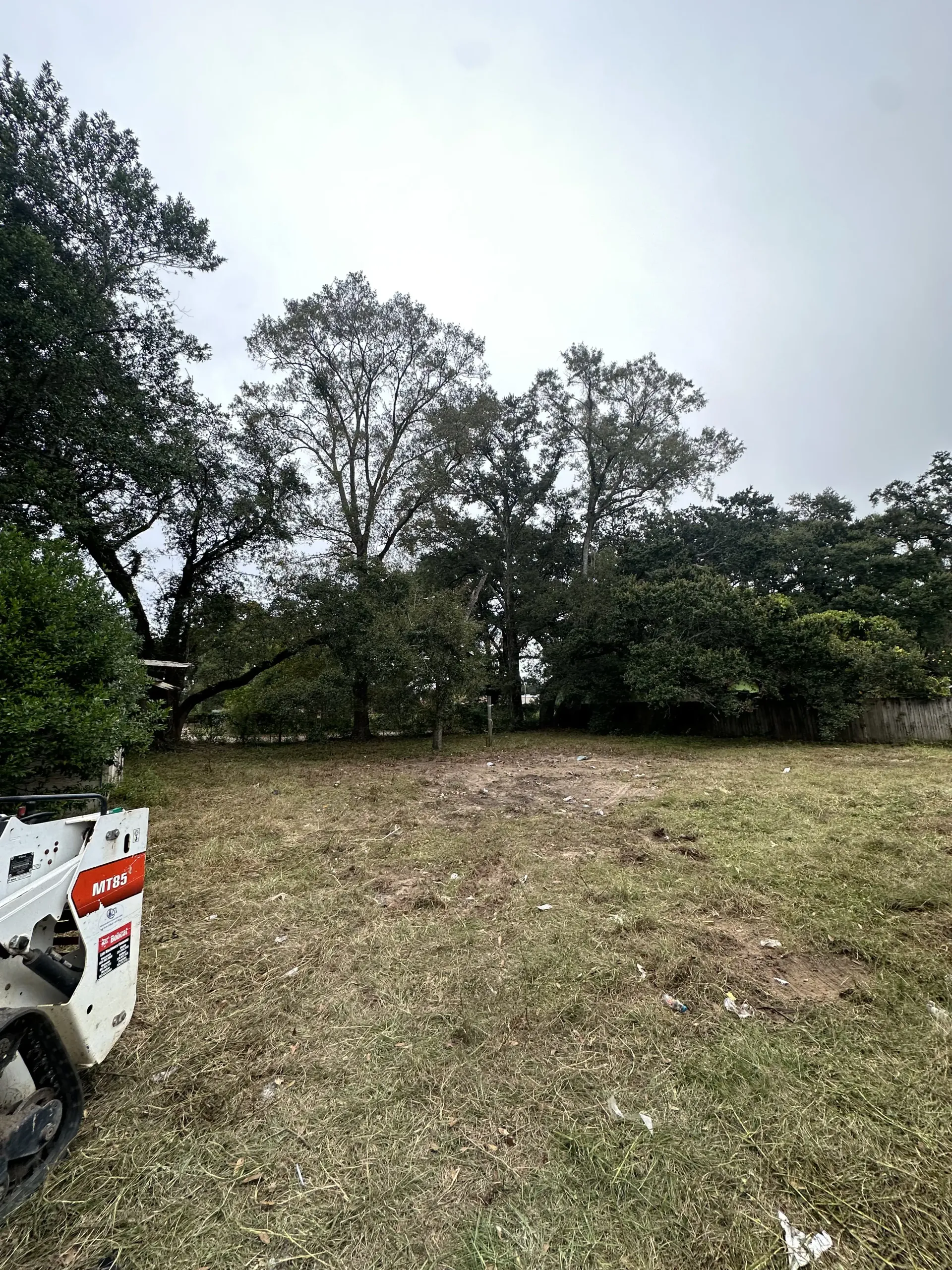 Grassy clearing with trees under an overcast sky, with a partial white vehicle at the left edge.
