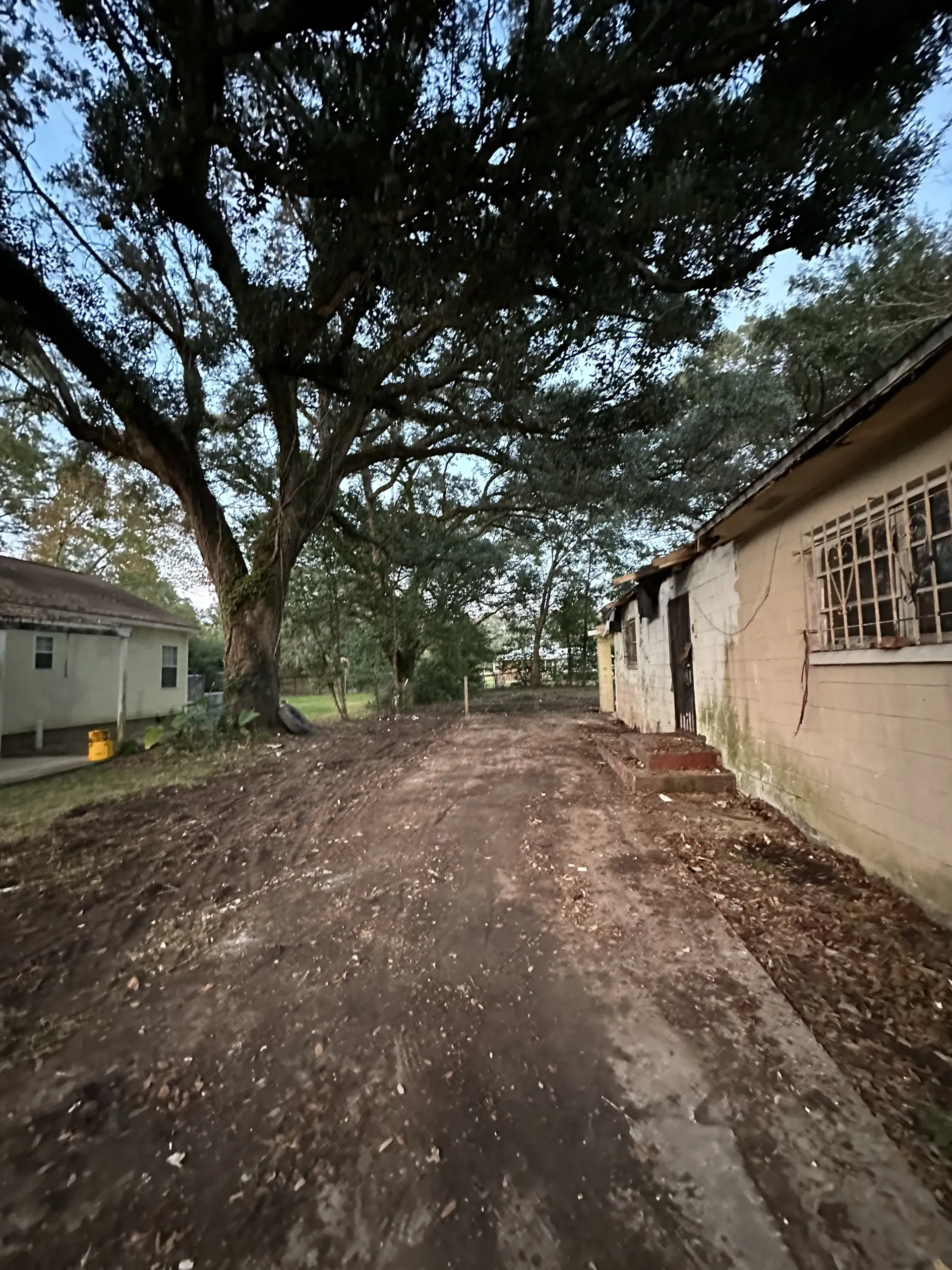 Dirt lane between small houses under large trees, with a beige building on the right and cloudy sky above