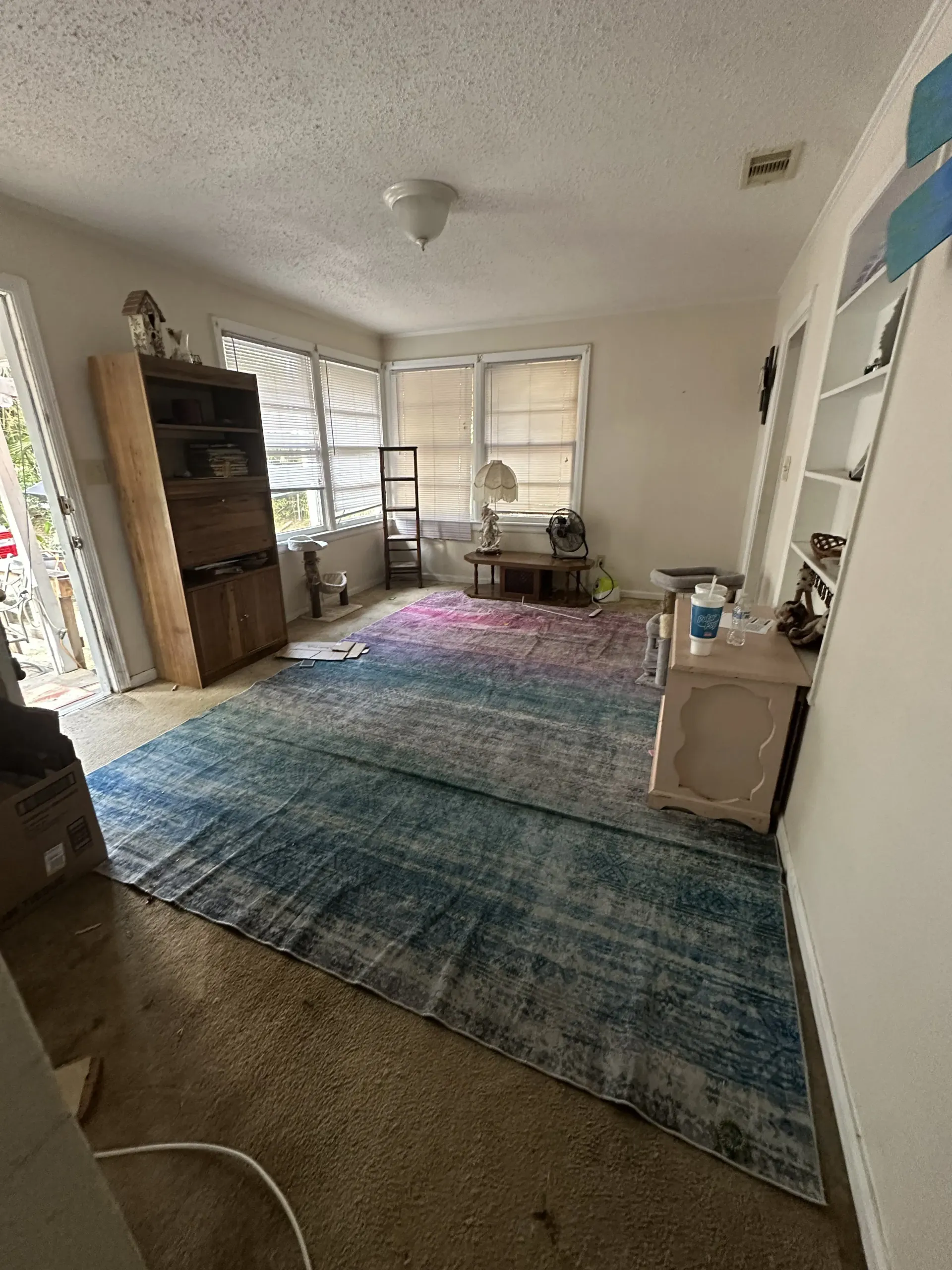 Living room with a large colorful rug, wooden shelves, chairs, and bright windows at the back.