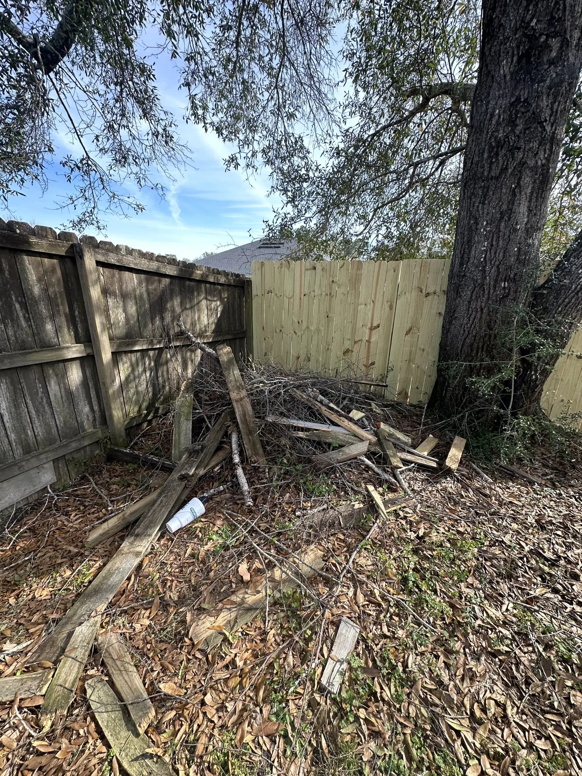 Backyard corner with fence, large tree, and a pile of fallen branches and leaves.