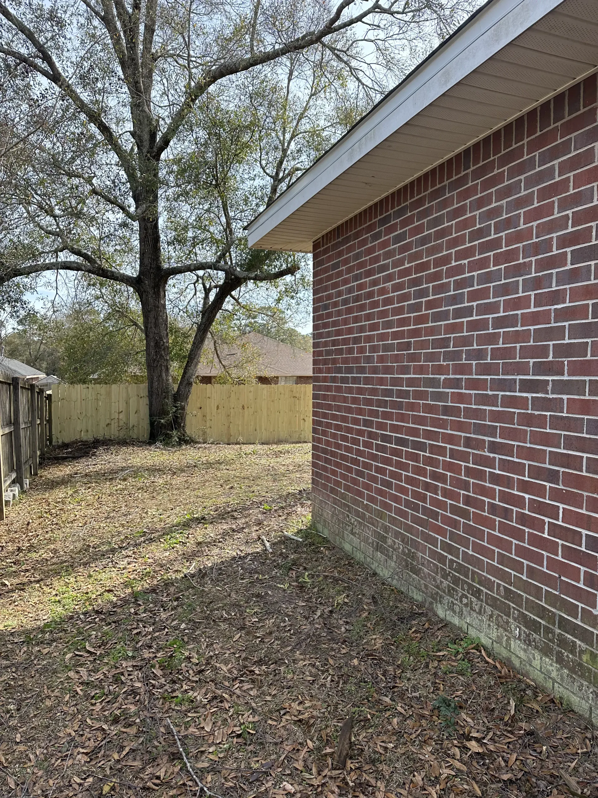 Backyard with brick house wall, leaf-covered ground, large tree, and wooden fence under a clear sky