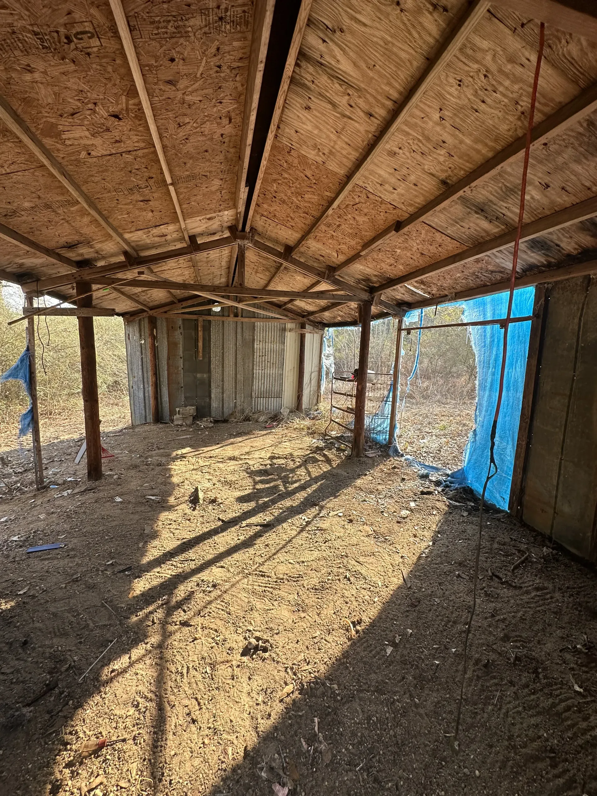 Inside a rough shed, sunlight streams through gaps in the roof and blue tarp-covered walls.