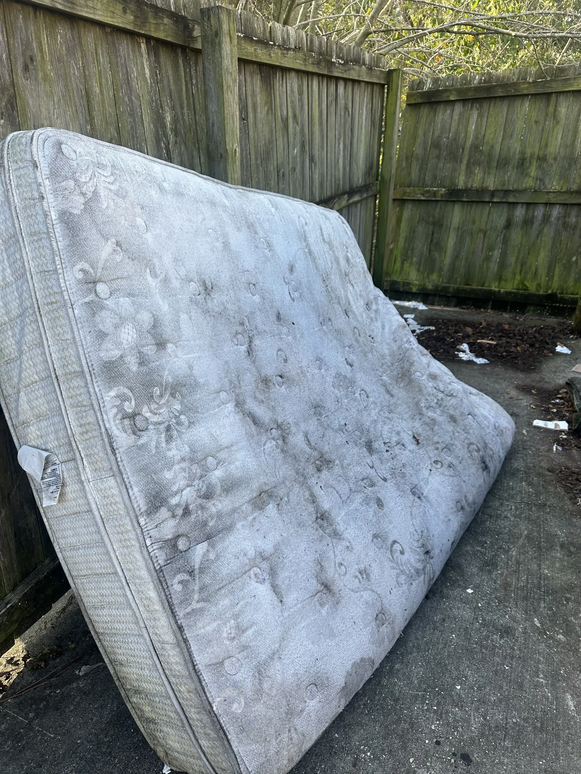 Dirty mattress leaning against a wooden fence in an outdoor yard