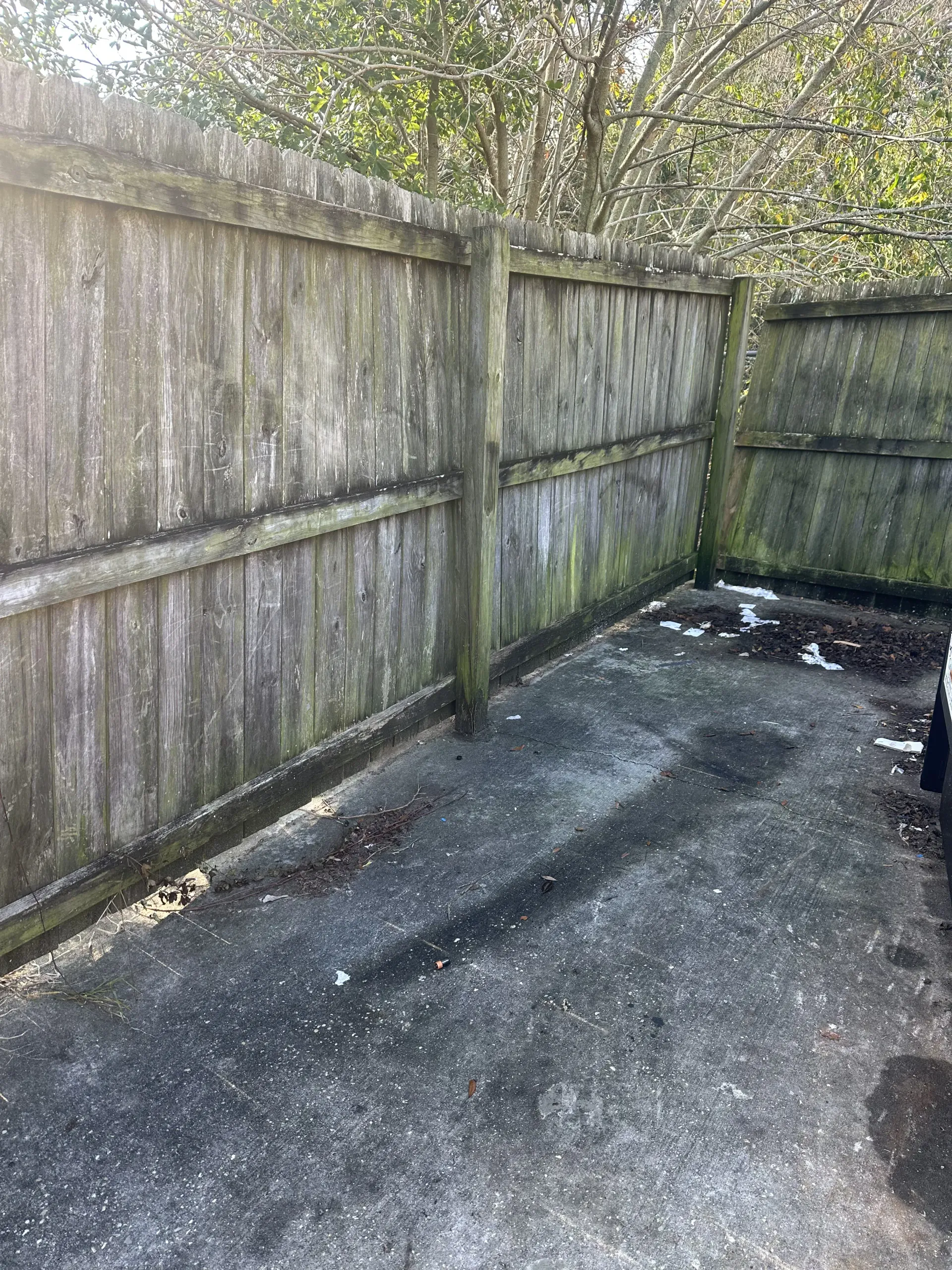 Empty paved corner beside a weathered wooden fence, with mossy ground and scattered debris.