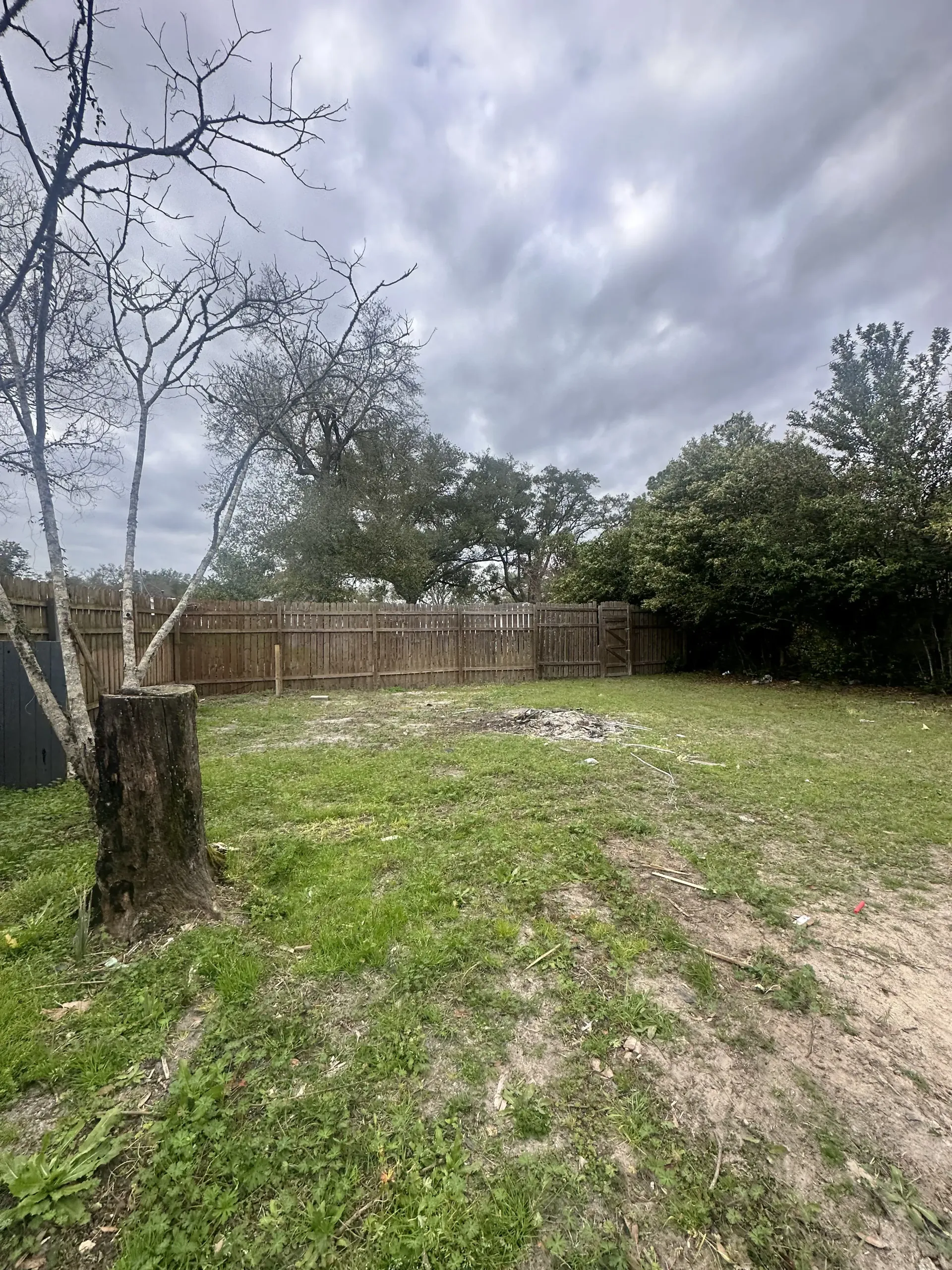 Backyard with leafless tree, grassy yard, wooden fence, and cloudy sky