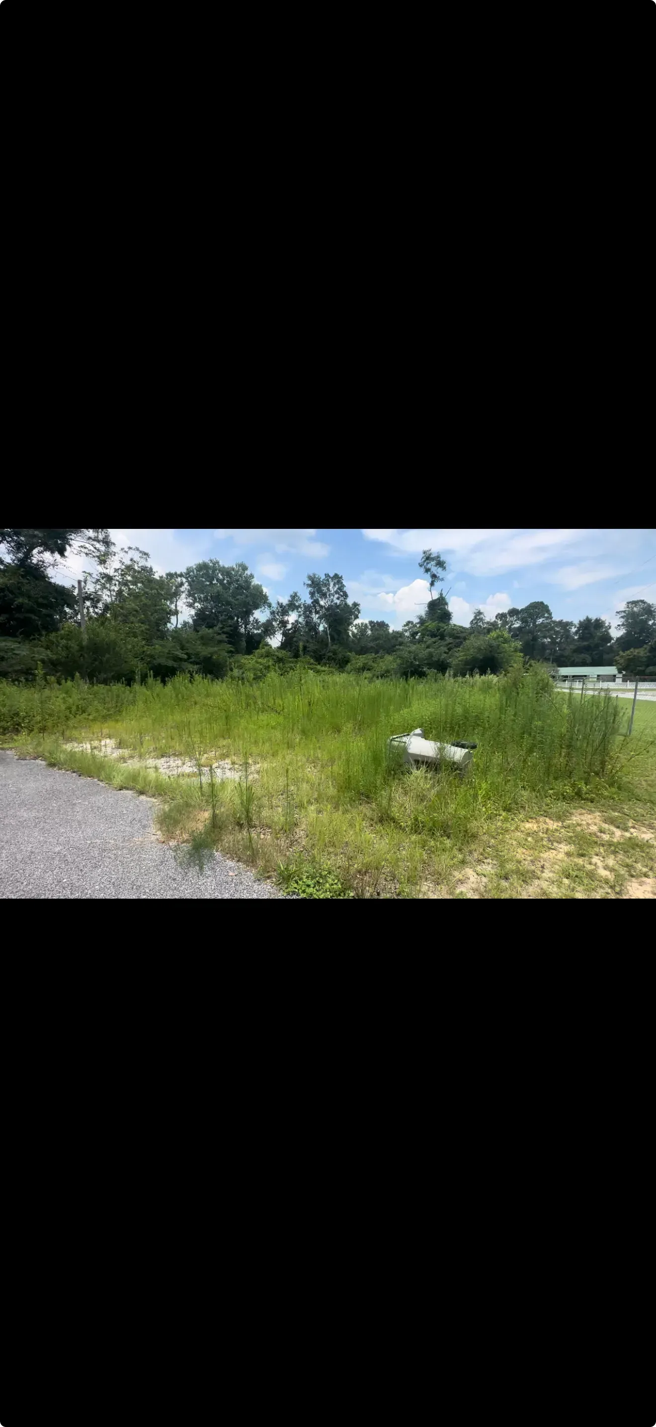 Grassy roadside field with white flowers, gravel shoulder, and trees under a blue sky with clouds