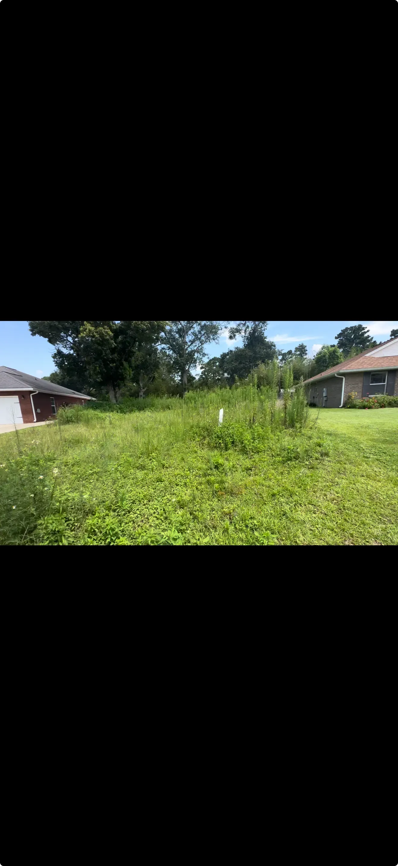 Overgrown grassy field between two houses under a bright sky