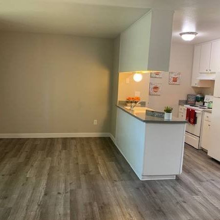 Empty apartment living area with gray wood floors, beige walls, and a small kitchen pass-through counter.