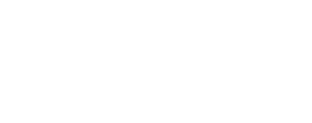 Mostly blank white image with a black horizontal bar across the lower middle