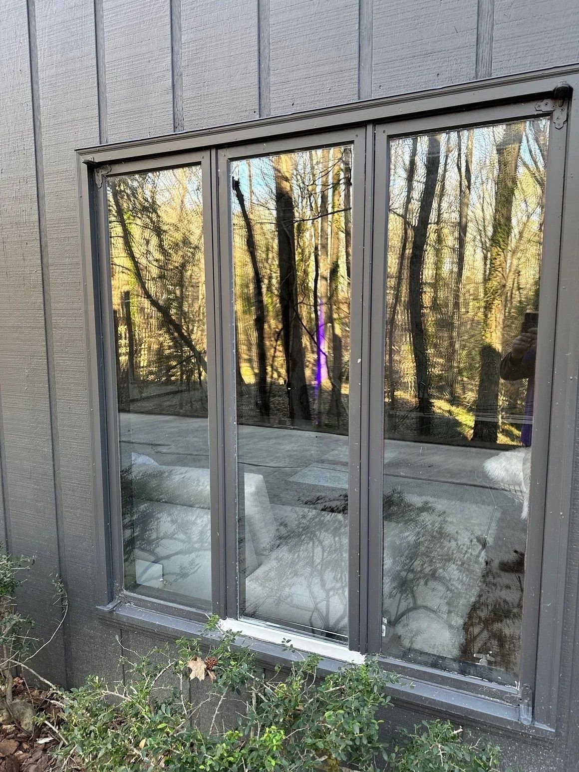 A large window on the side of a building with trees reflected in the windows.