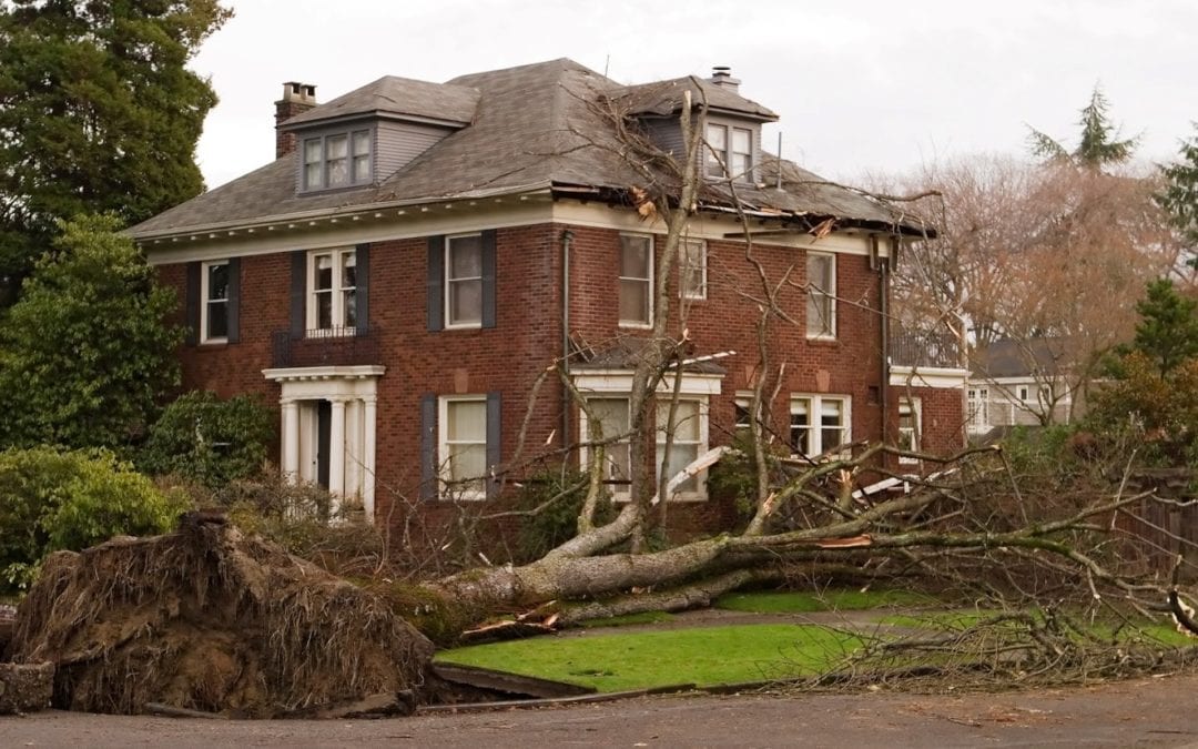 Fallen Tree Near Residential House — Chicago, IL — Metropolitan Insurance Service Consultants, Inc Fallen Tree Near Residential House — Chicago, IL — Metropolitan Insurance Service Consultants, Inc