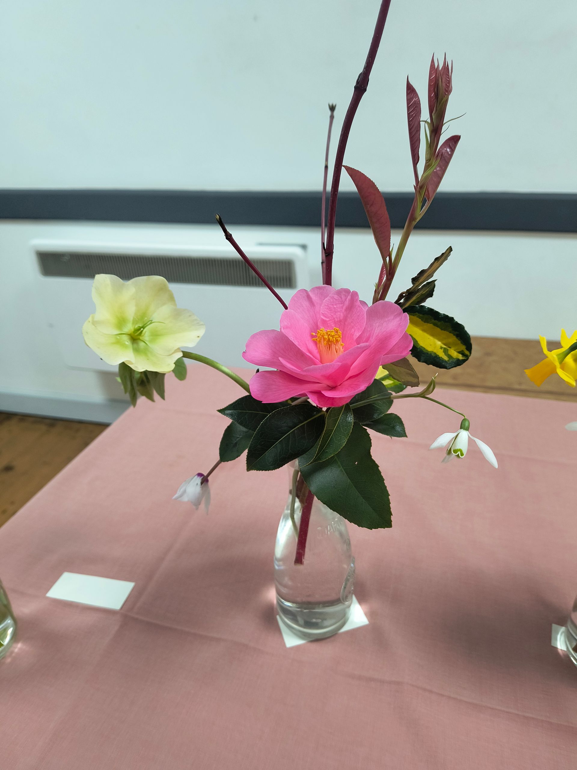 1st prize Margaret W - an arrangement of pink and white hellebores with snowdrops
