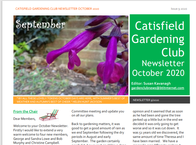 60 years on, our newsletter for October 2020