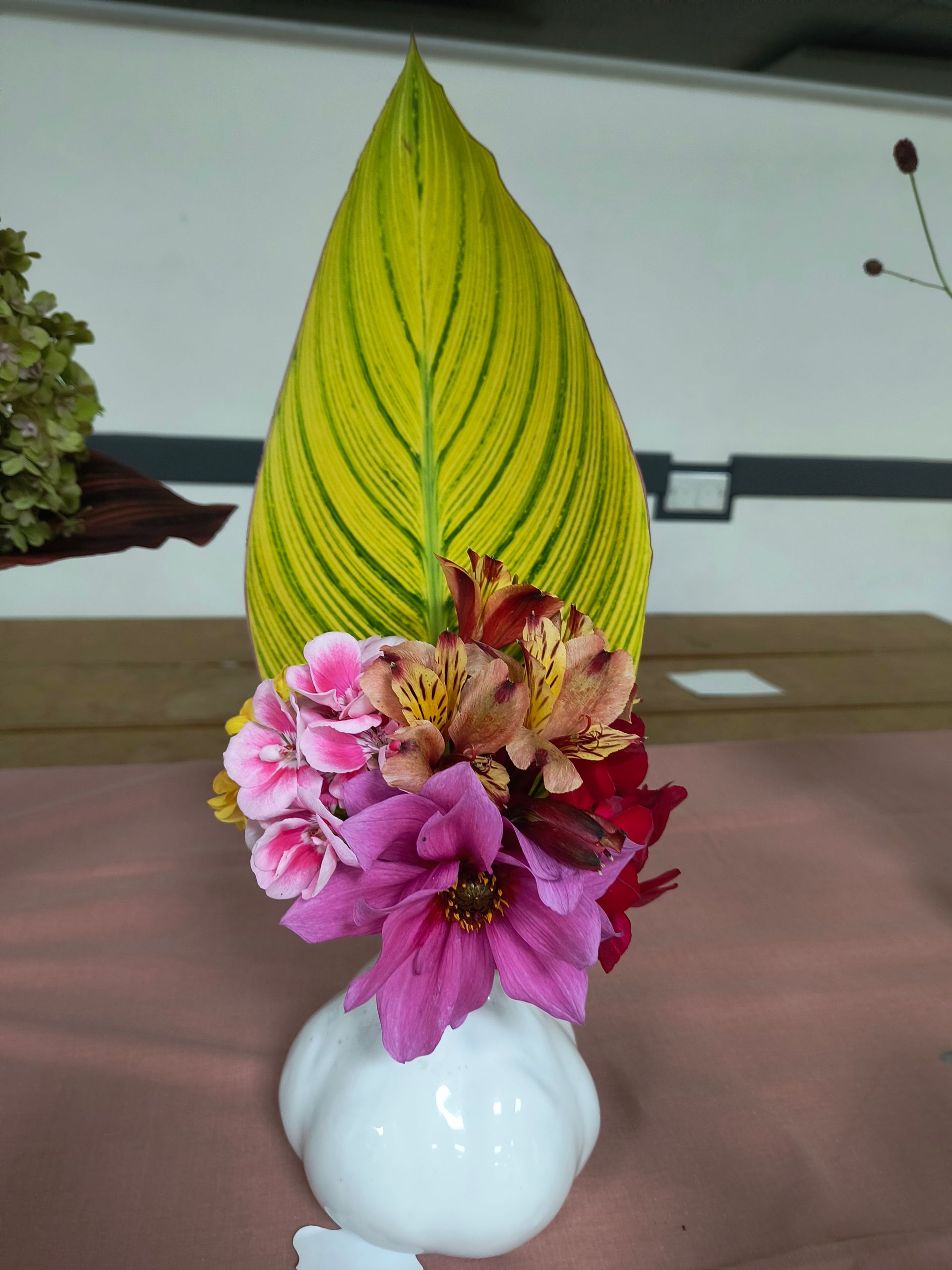 Photo shows pink and orange flowers with a large canna leaf behind in a white vase