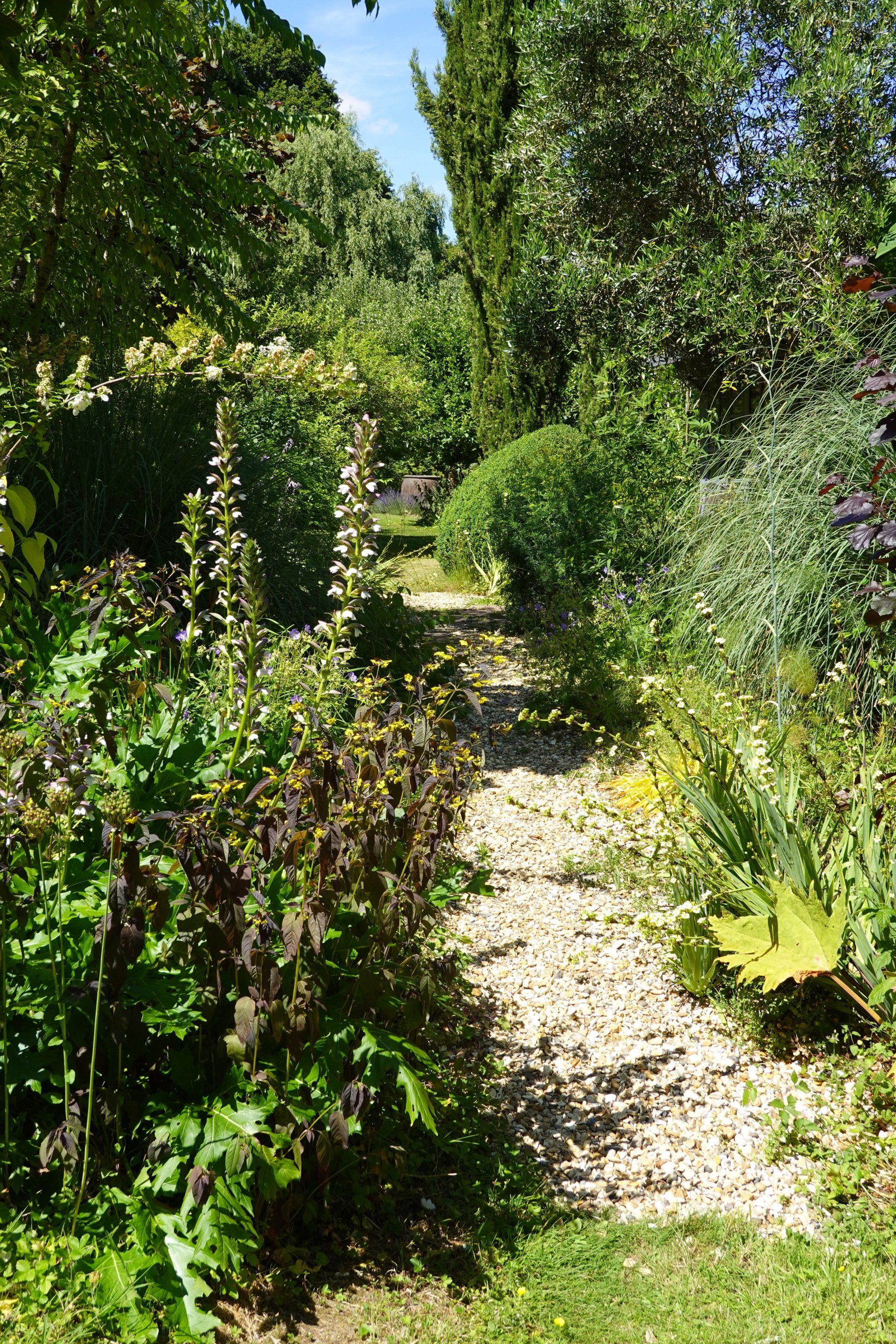 A path