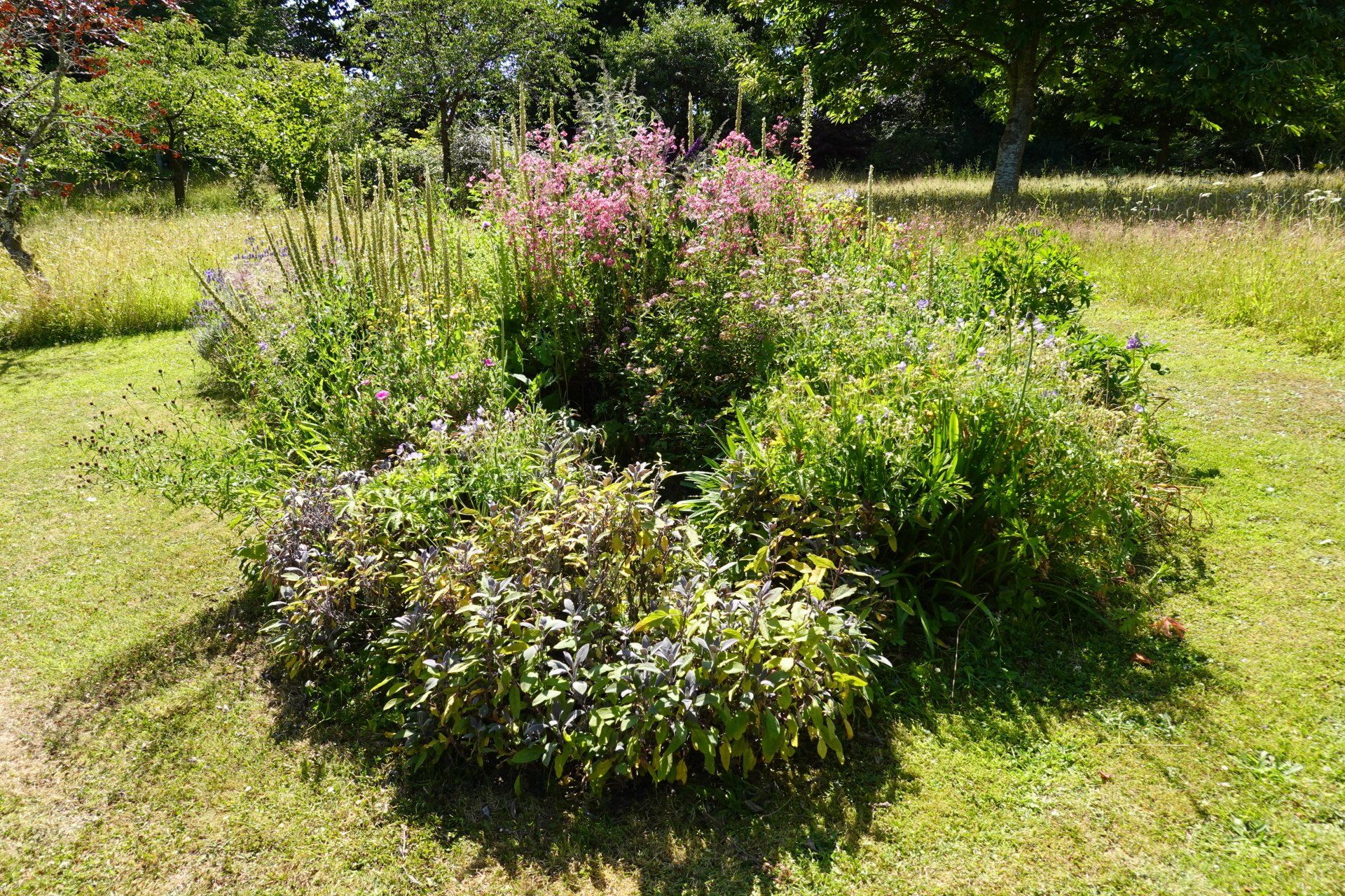 A shrubbery