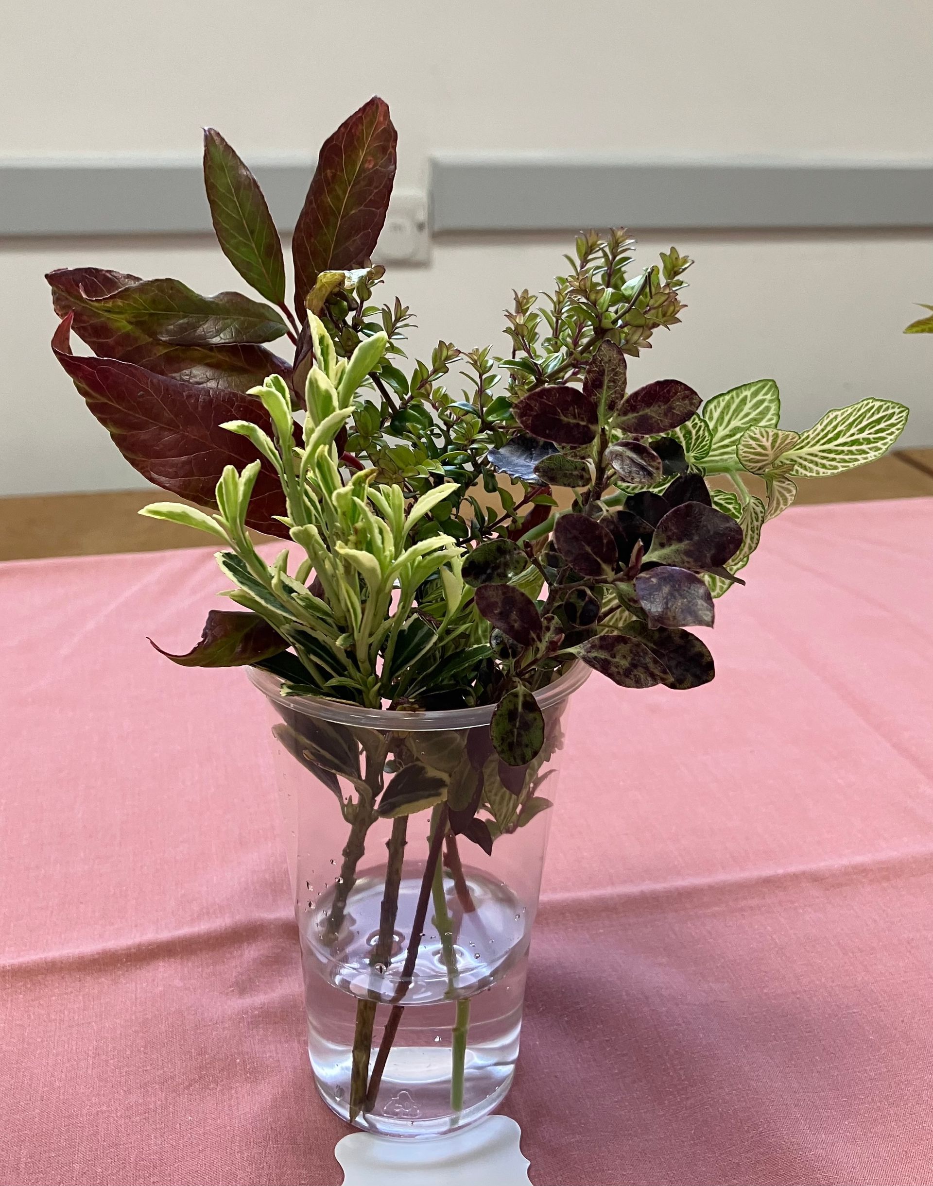 Arrangement by Ann C