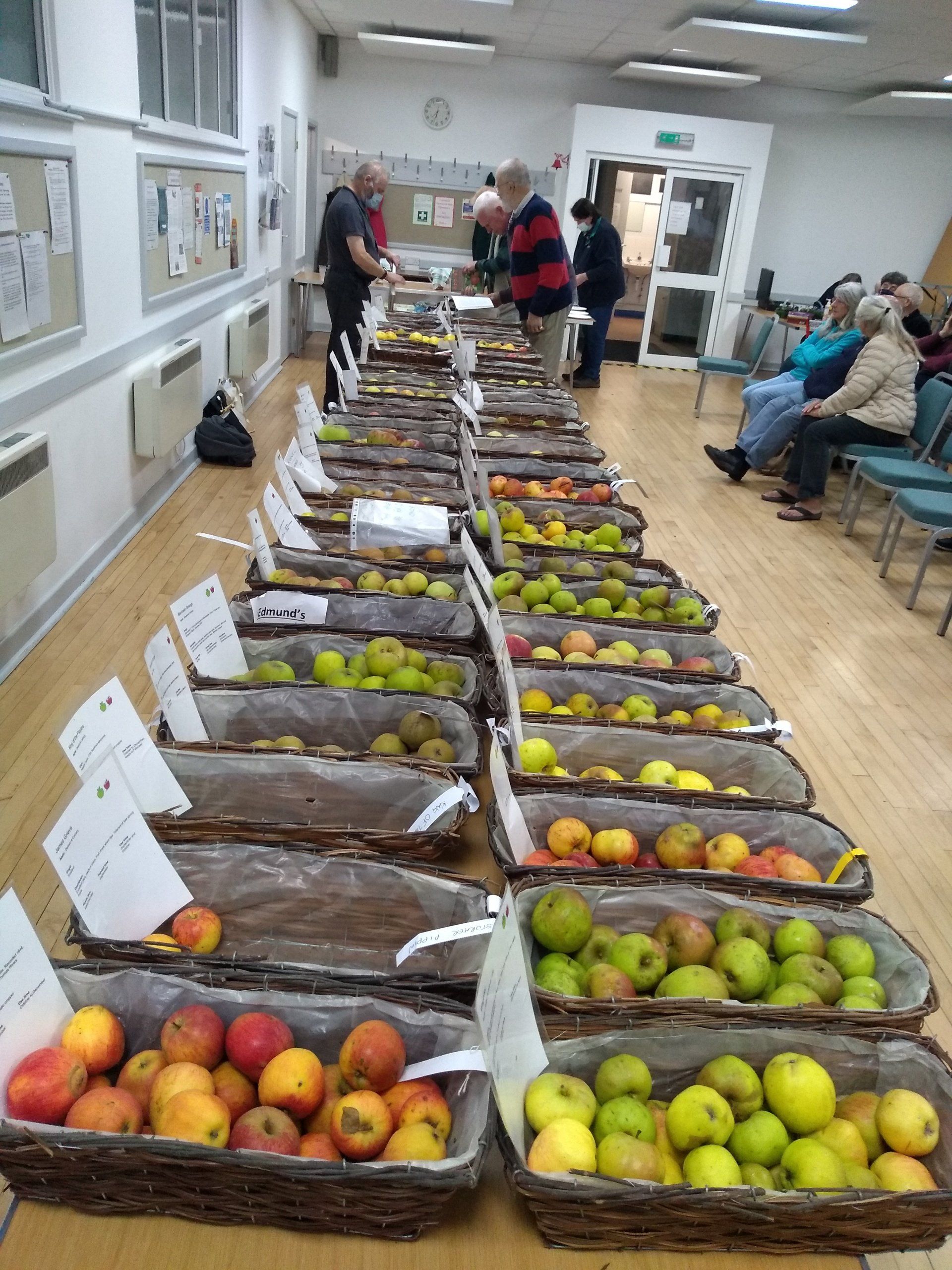 Sparsholt apples
