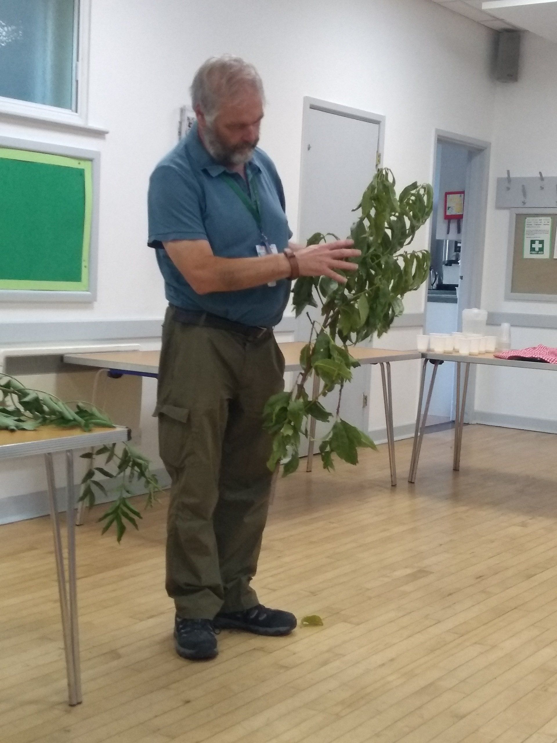 Chris demonstrates pruning technique