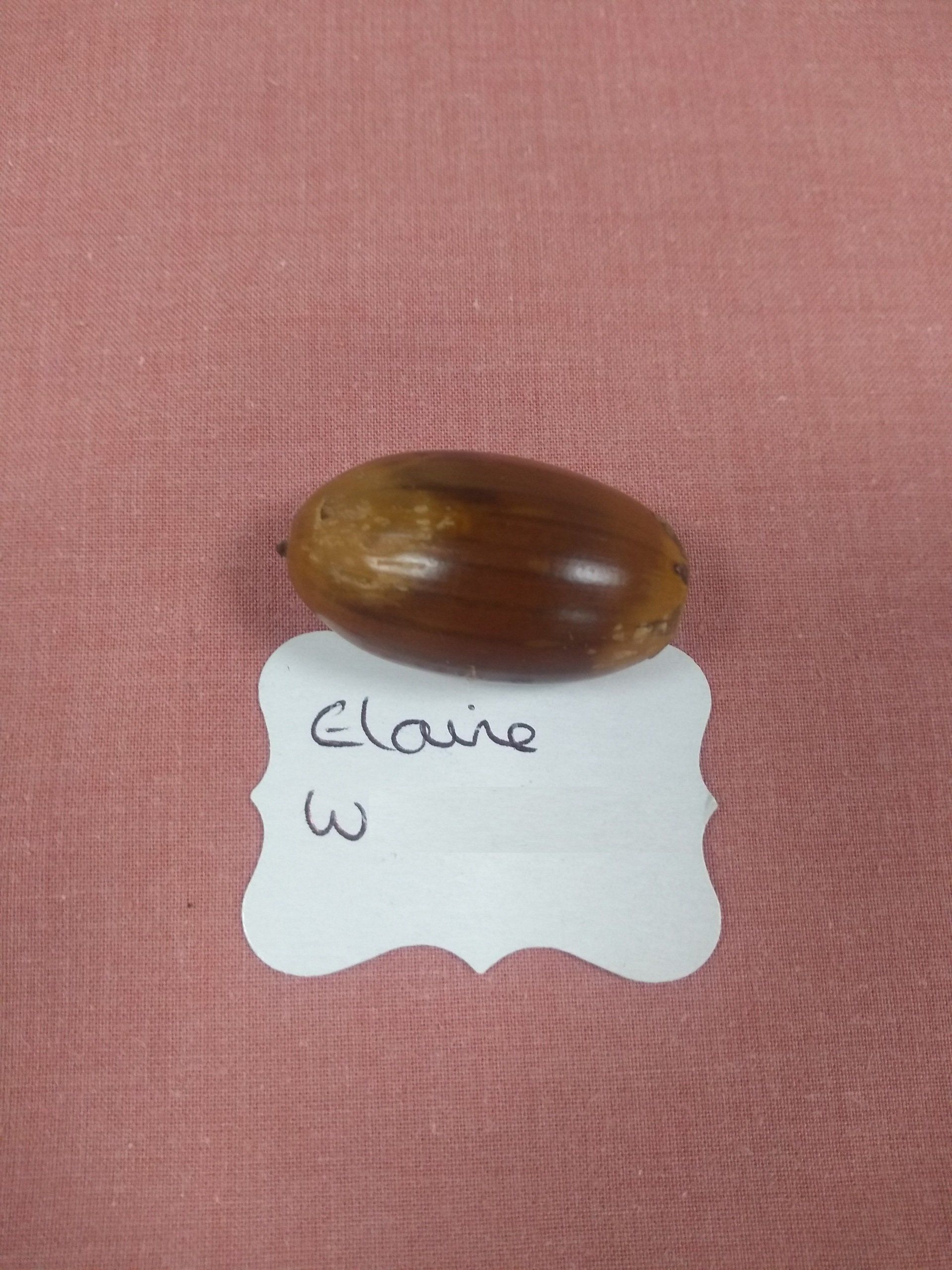 Elaine W's close runner-up acorn