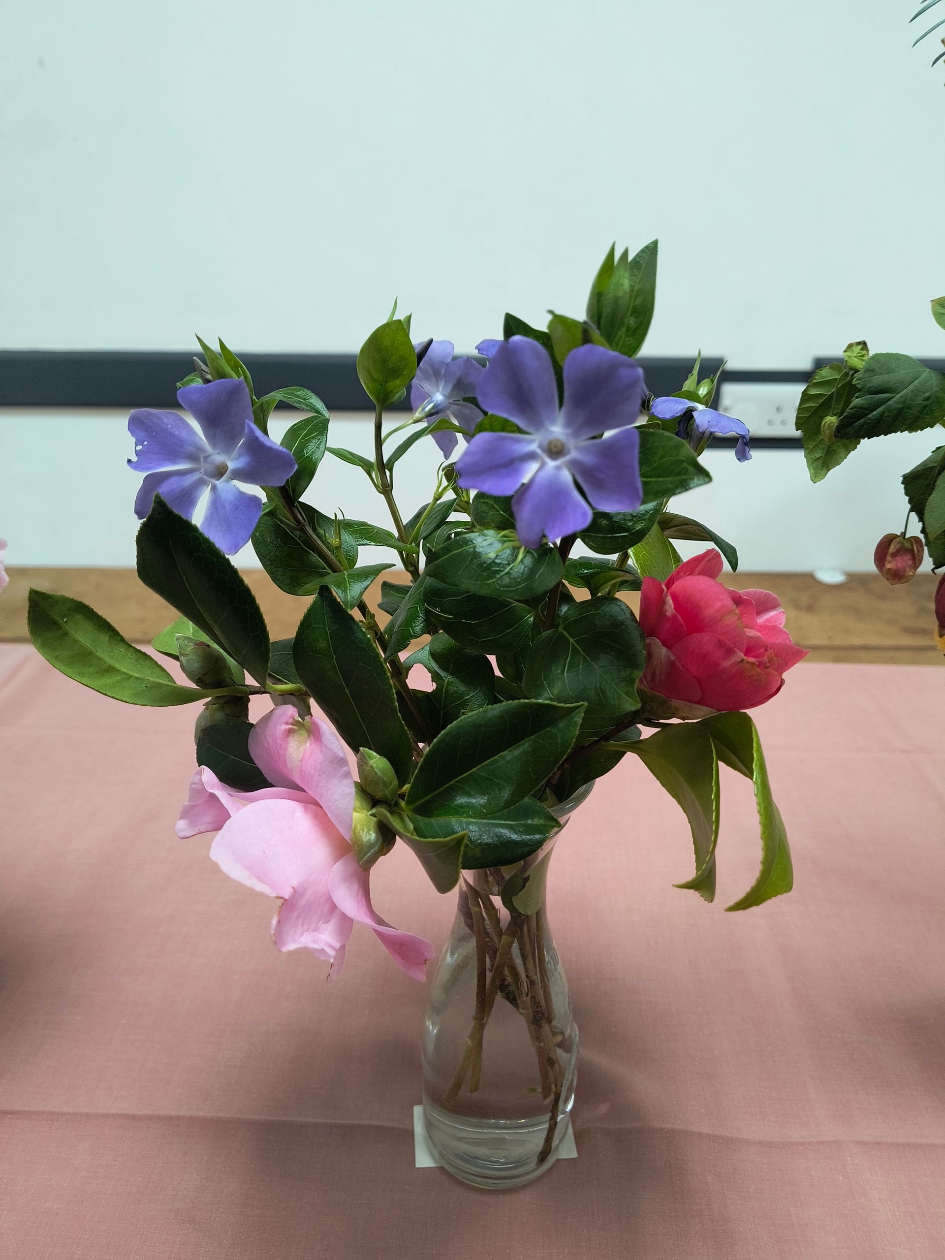 An arrangement of pink camella and purple vinca