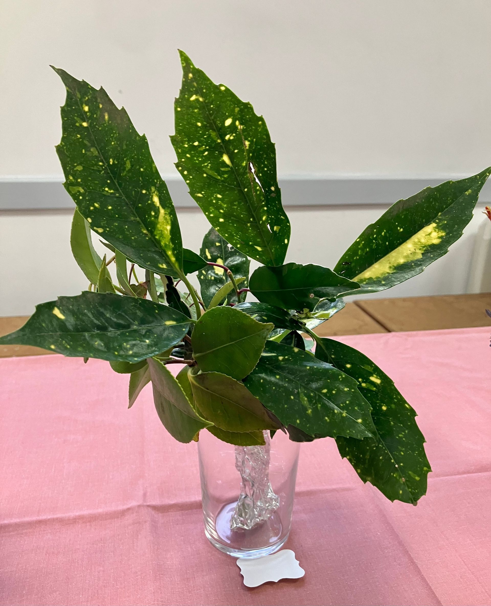 Arrangement by Jane R
