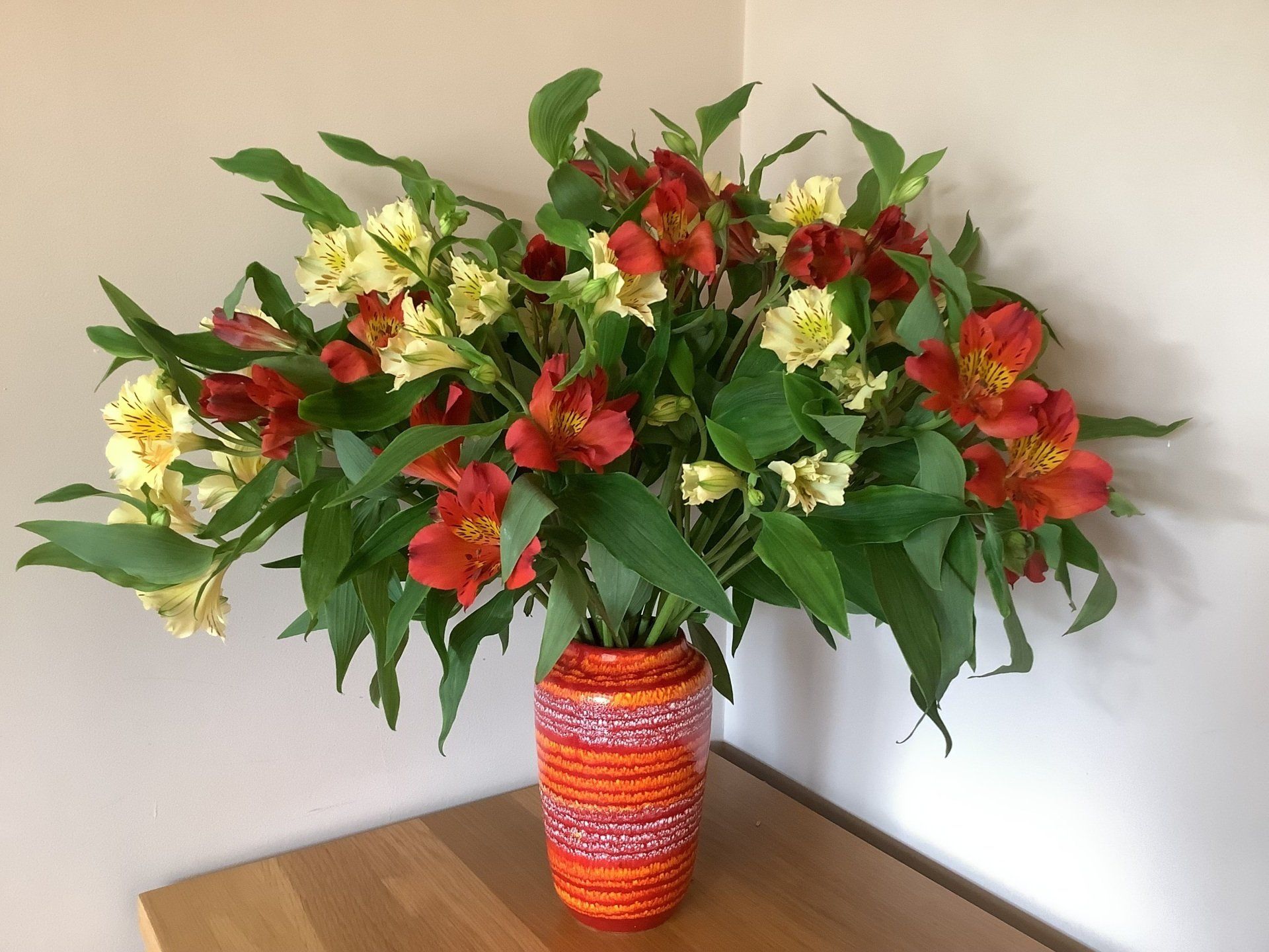 Jo B's alstroemeria