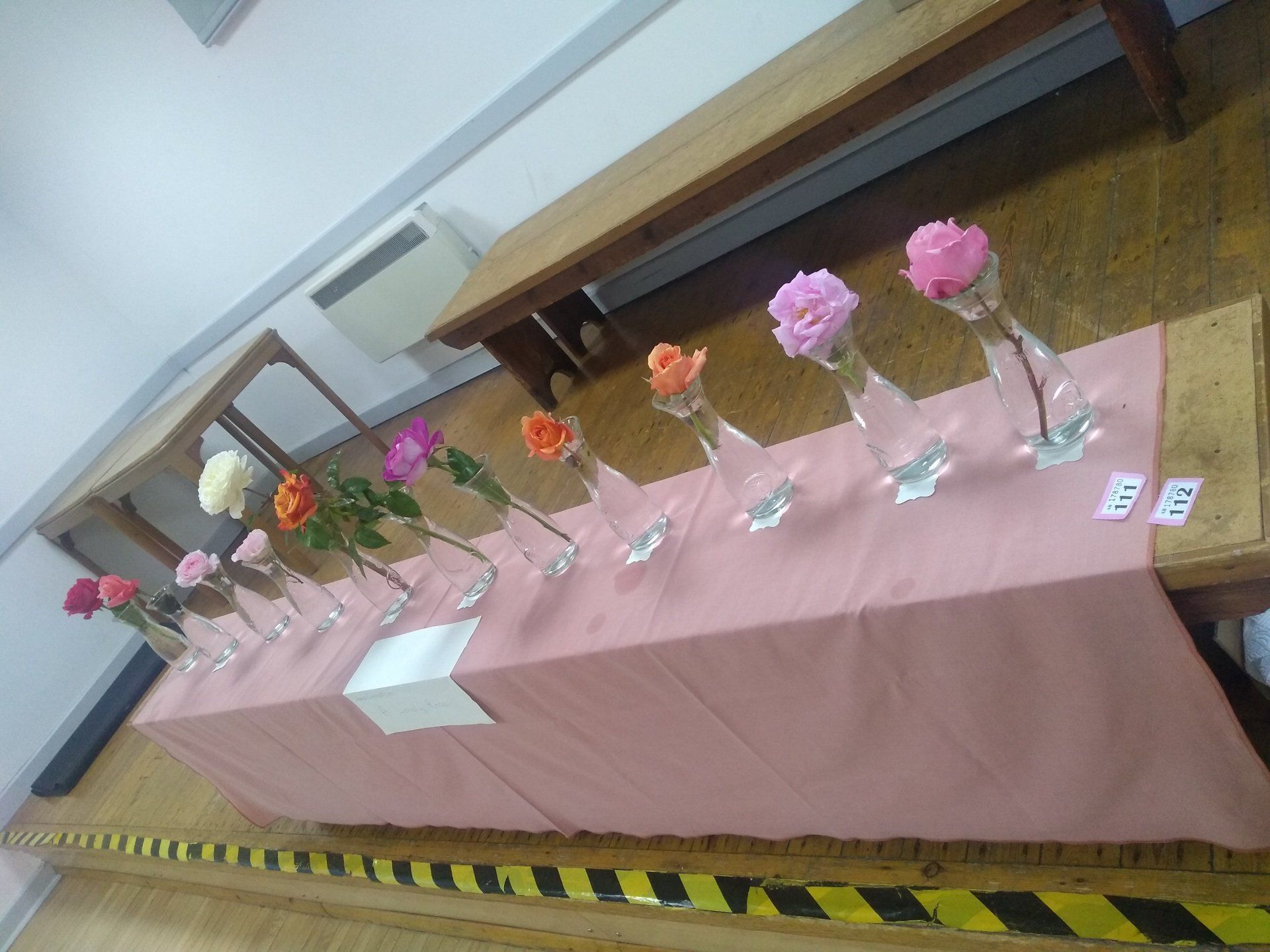 Row of roses