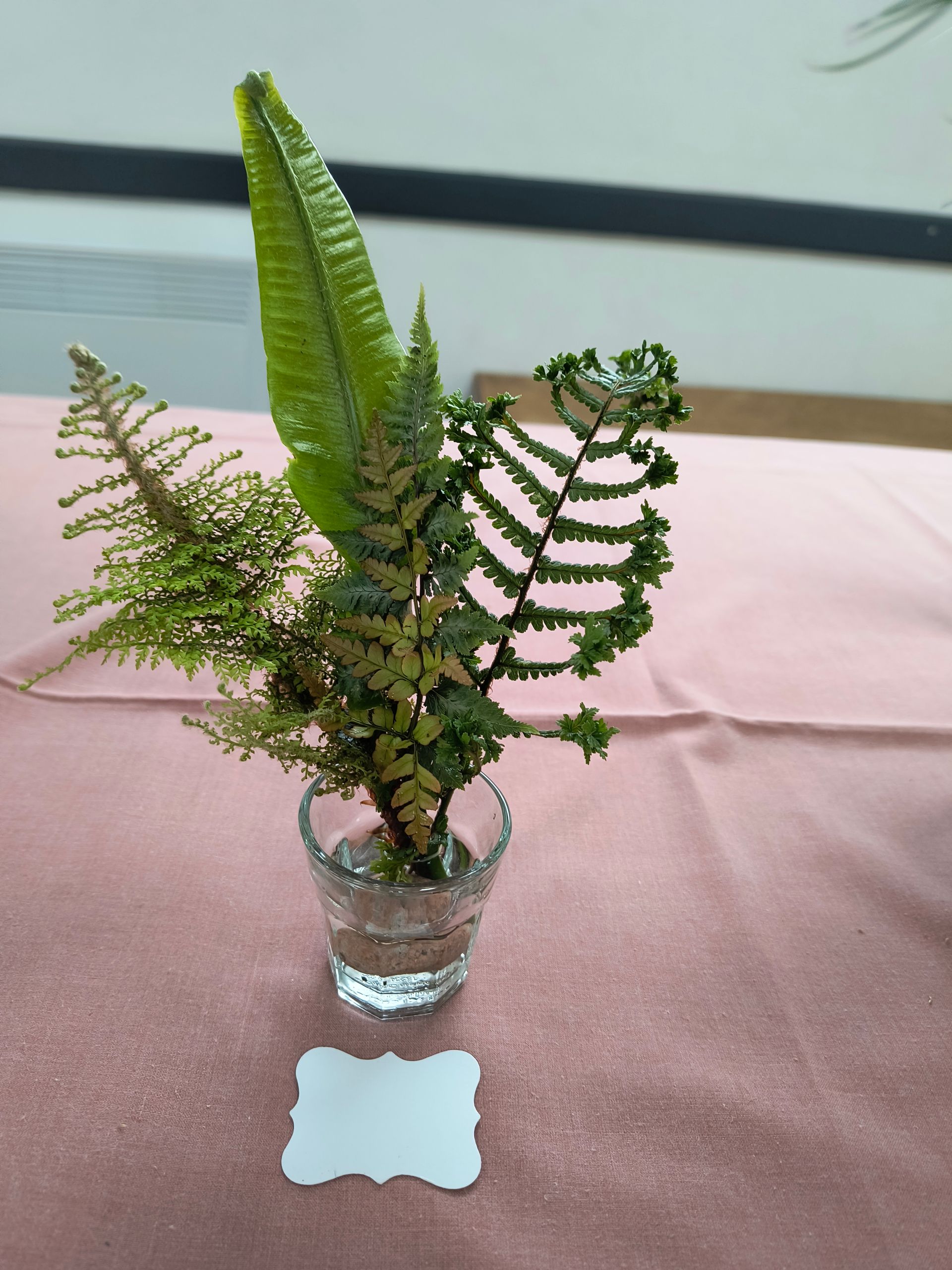 A small arrangement of fern leaves in a shot glass