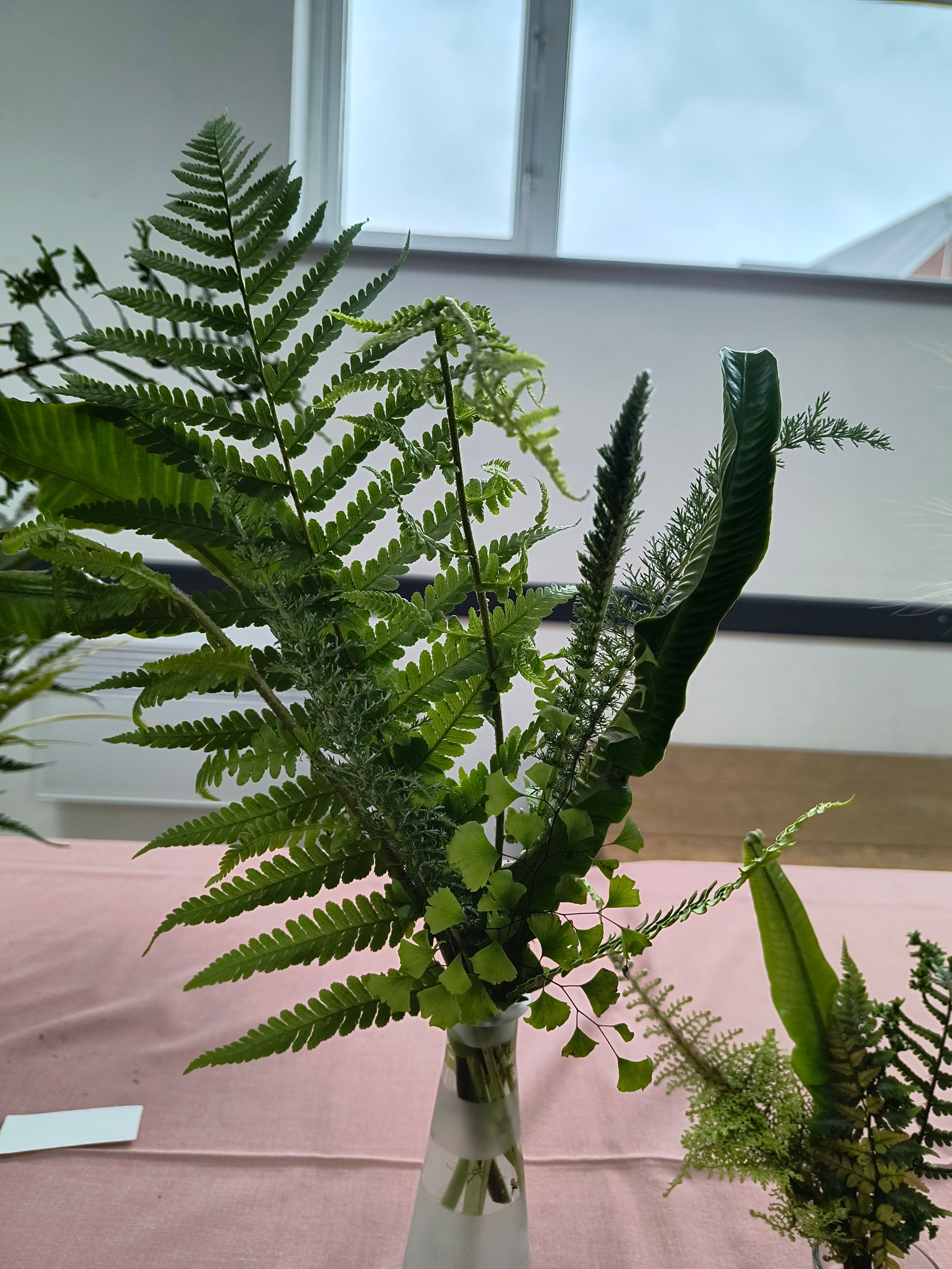 An arrangement of fern leaves in a glass