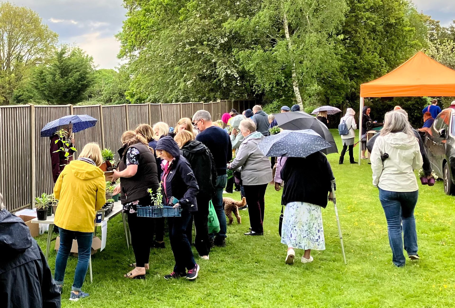 The crowd descends on the plants