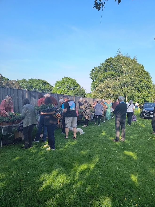 Photo of people looking at plants stalls which are set out on tables on grass