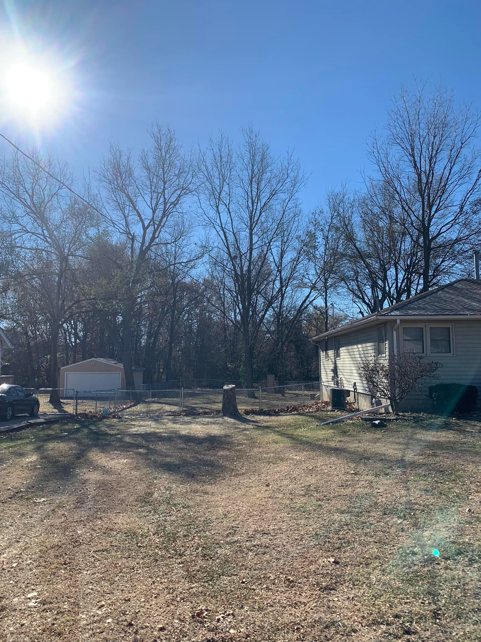 Sunny day view of a yard with leafless trees, a small house, and a partially visible car. Sunny day view of a yard with leafless trees, a small house, and a partially visible car.