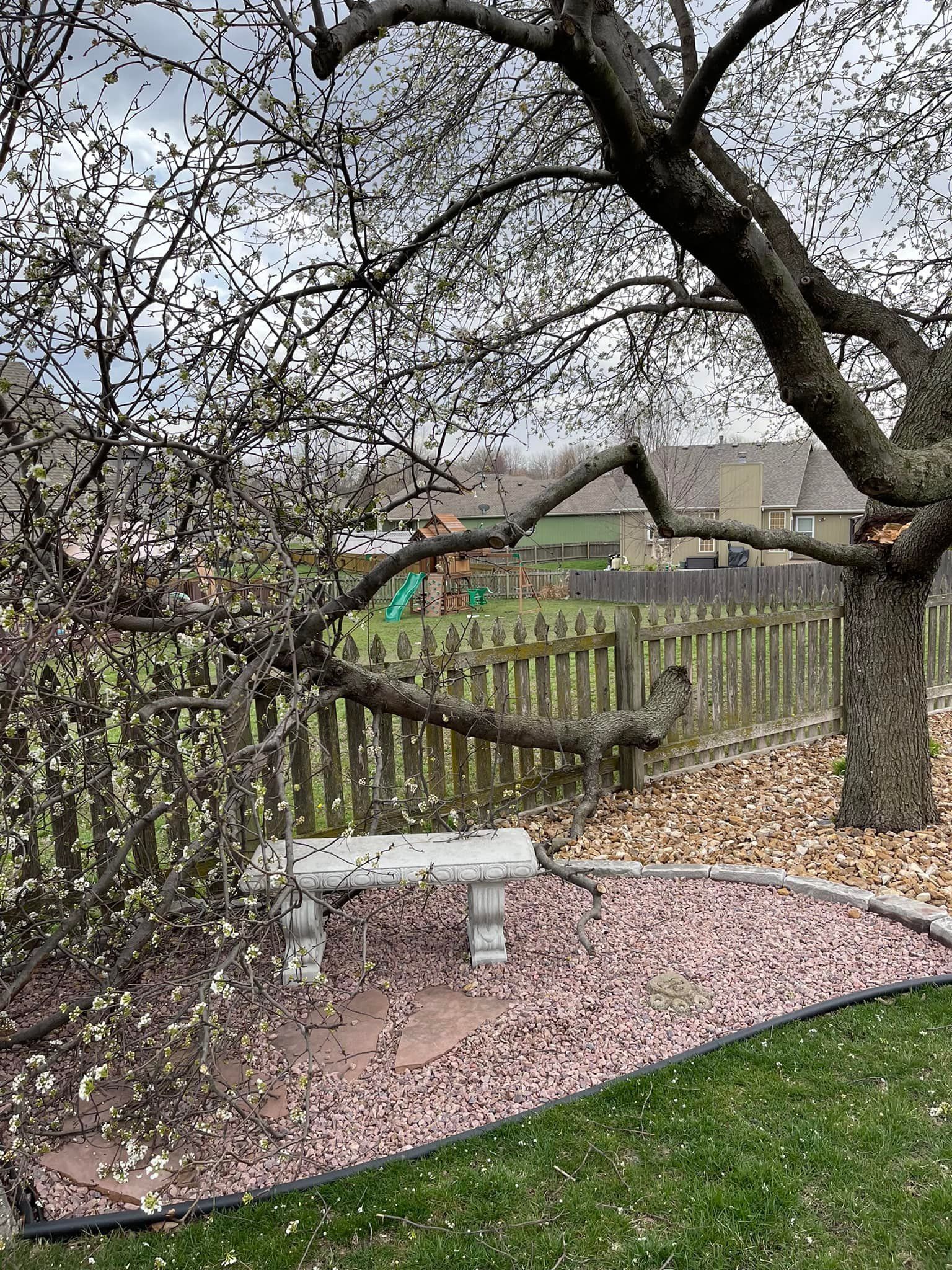 Stone bench under a blooming tree, petals on the ground, behind a wooden fence.