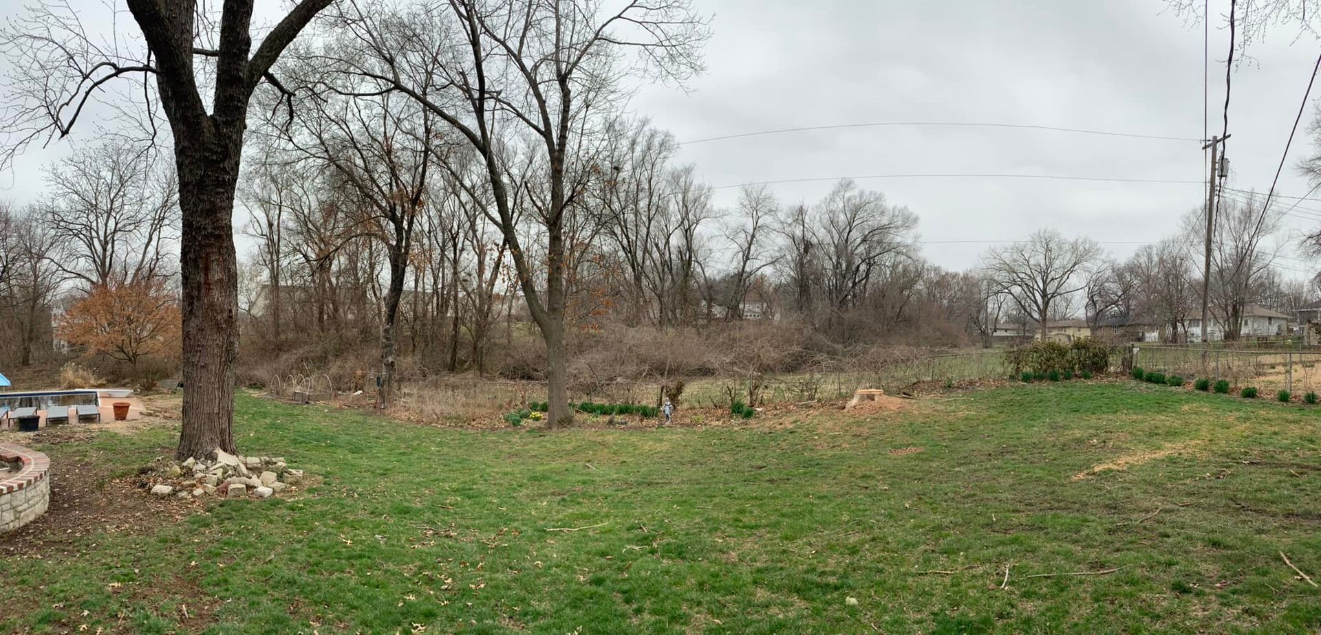 Grassy backyard with bare trees, overcast sky, and a stone border on the left. Grassy backyard with bare trees, overcast sky, and a stone border on the left.